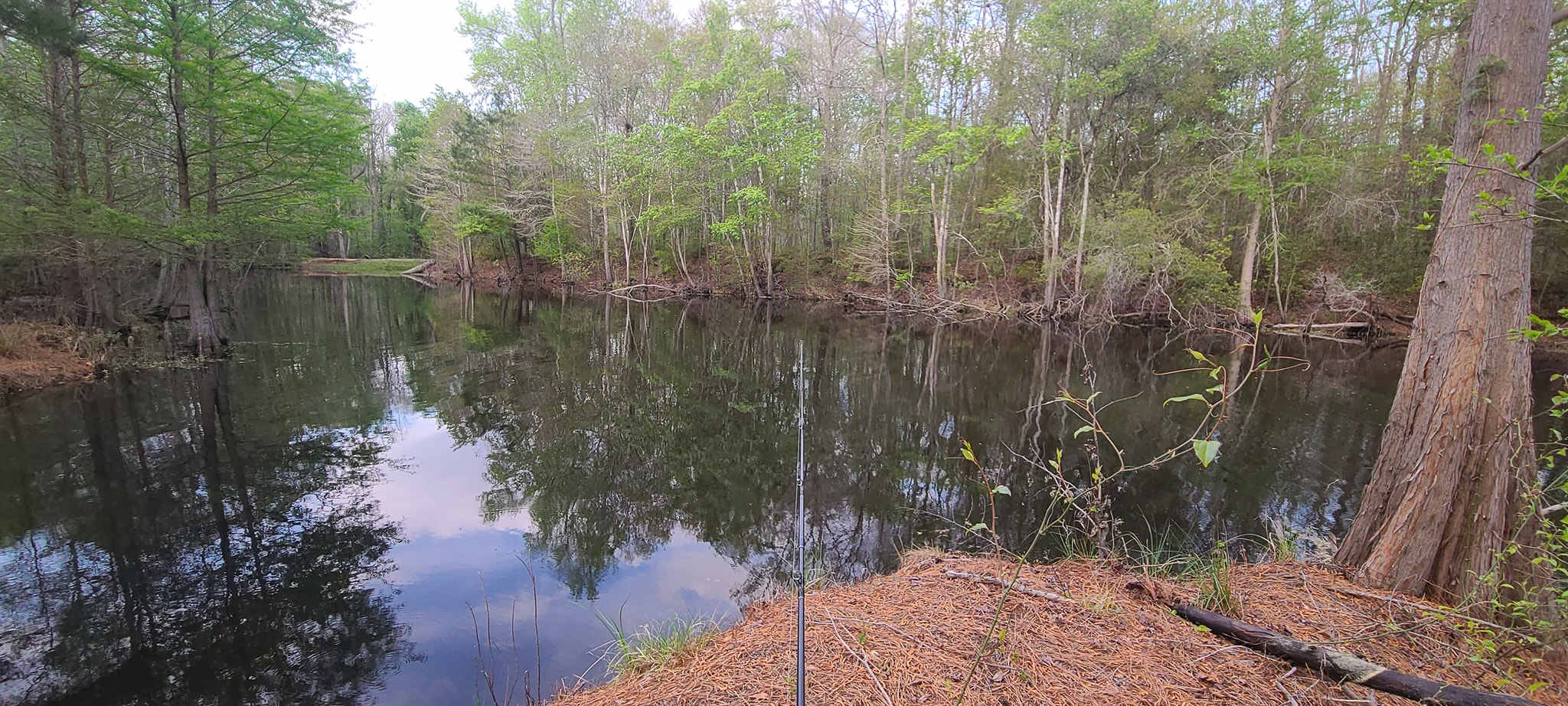 The pond in the back of the property was so peaceful and quiet.