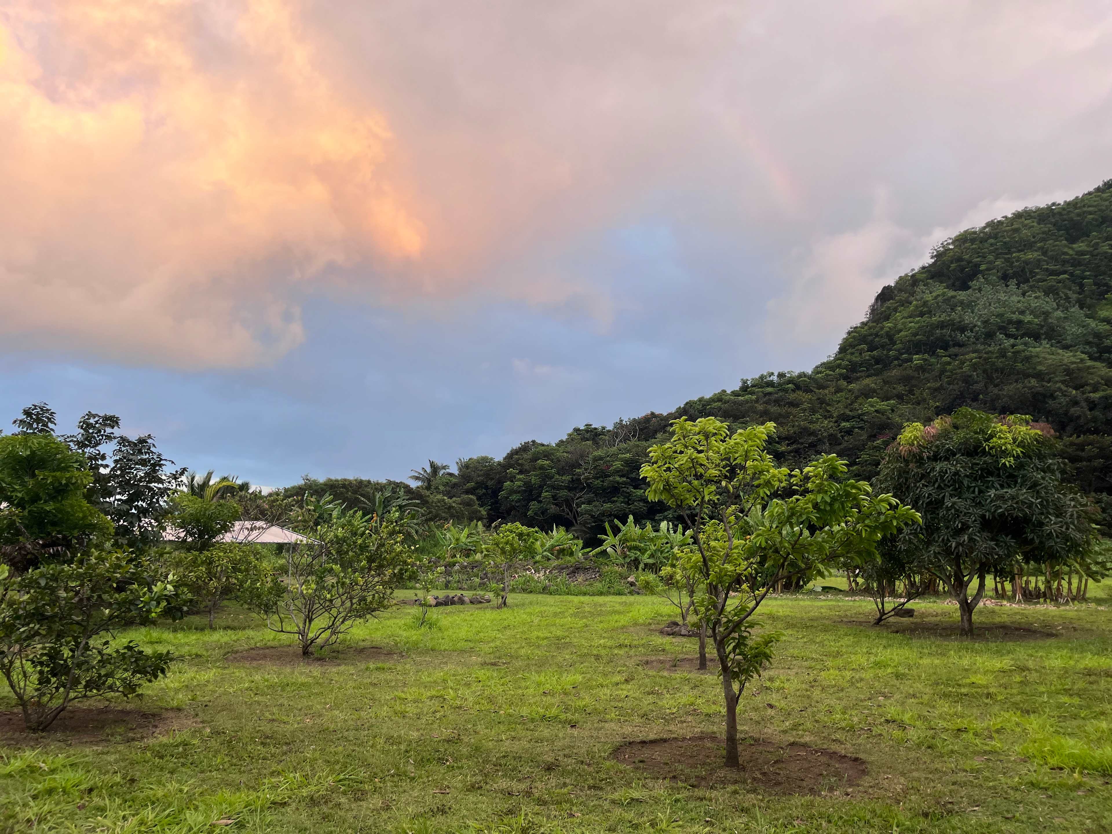 Outside the Blissful Island/Big Island Yurt