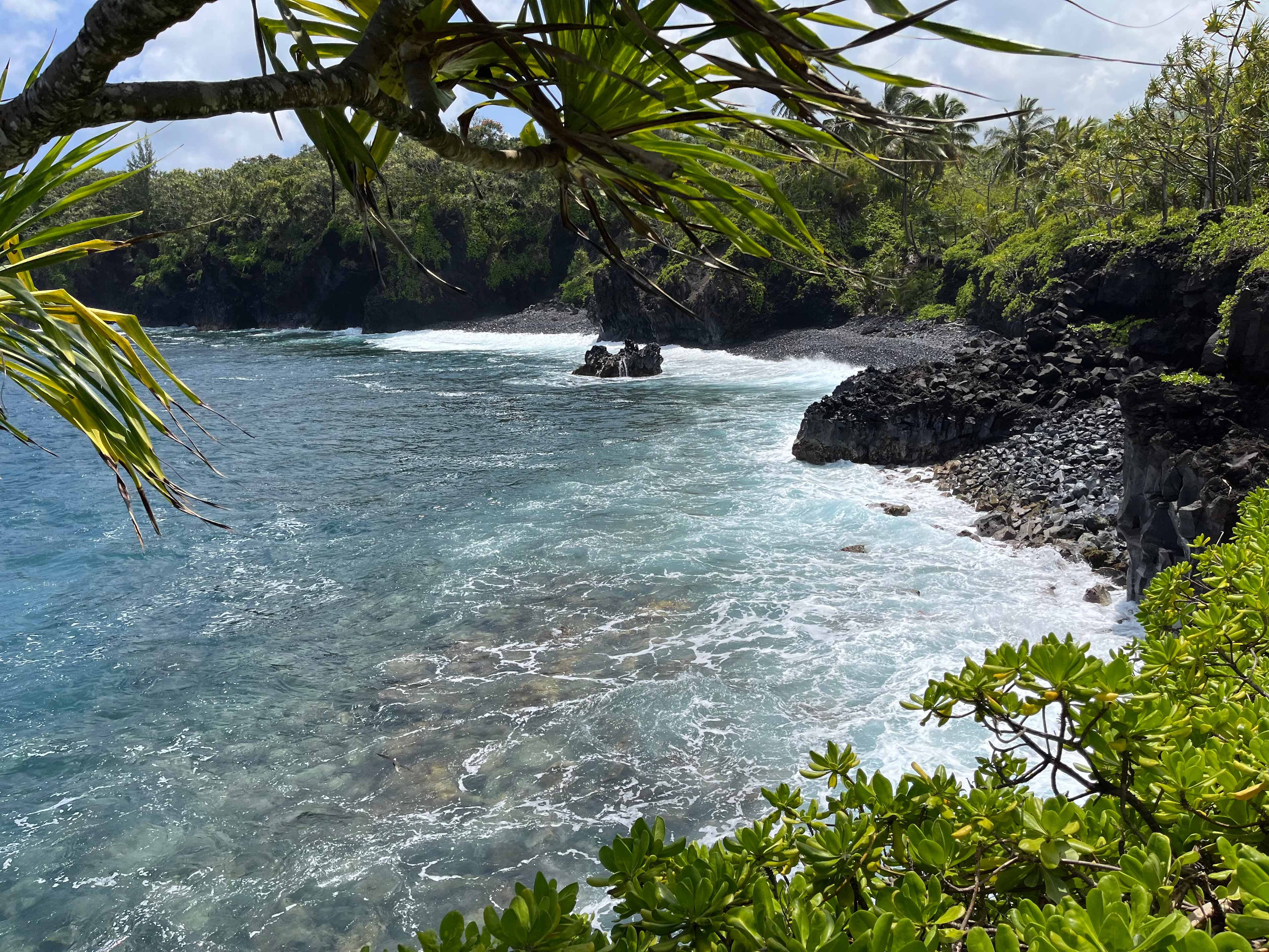 Untouched Hawaiian Land