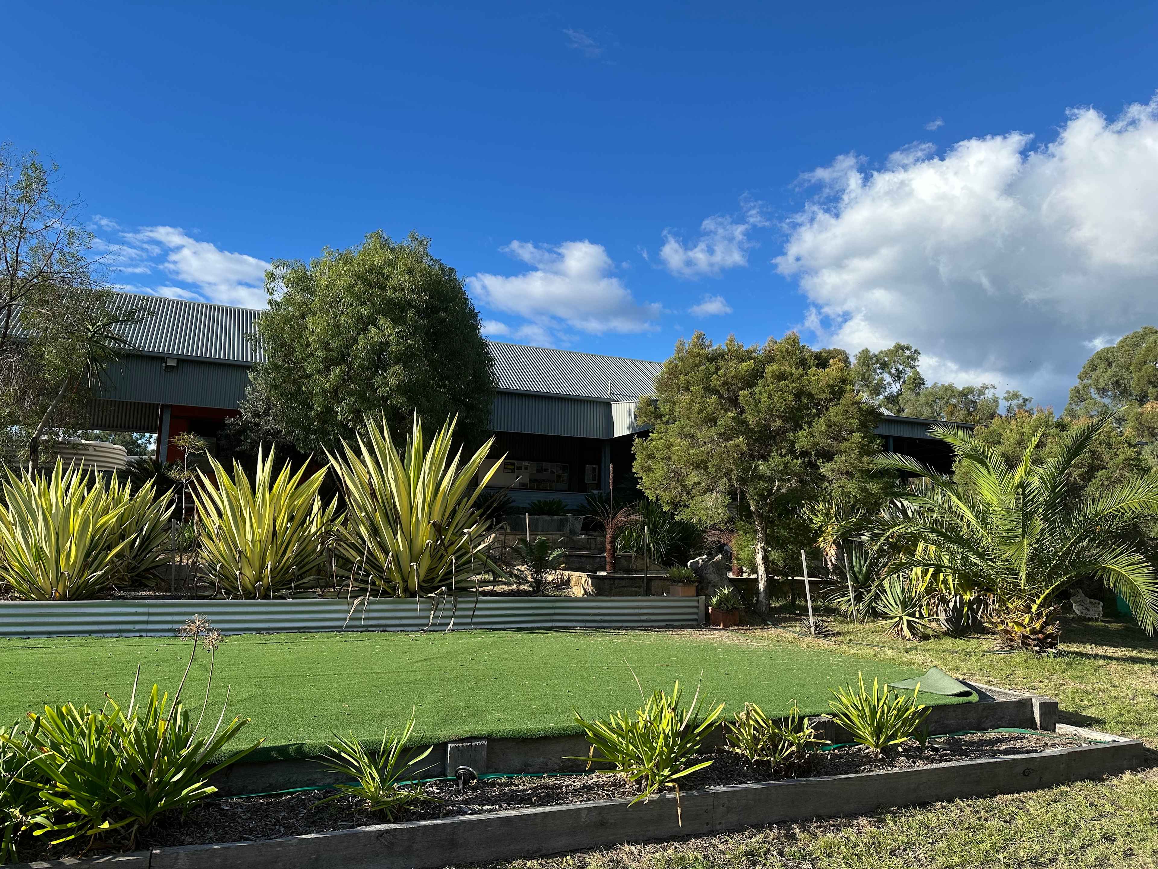 Coolmunda Organic Olives