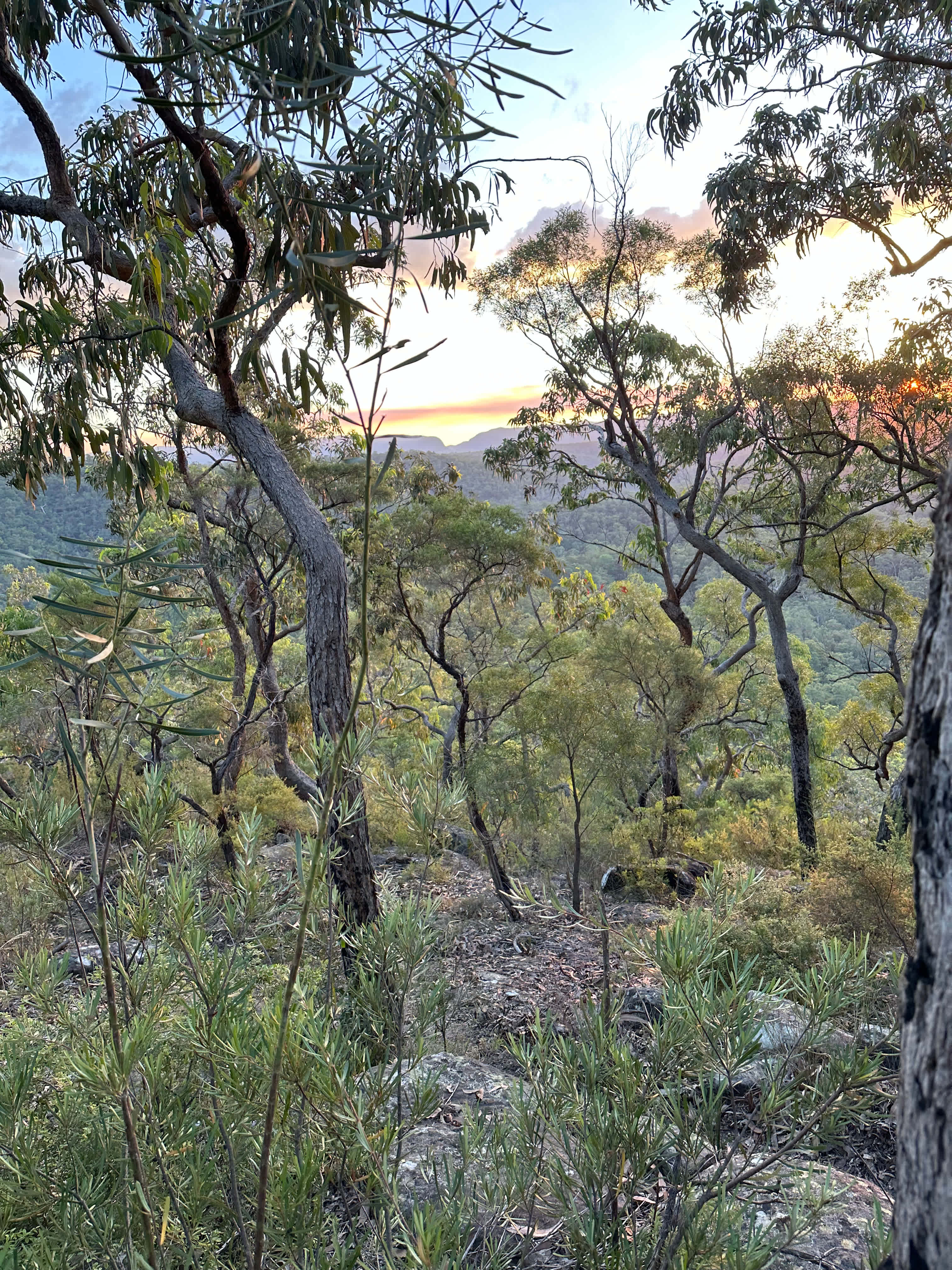 The view from Grass Tree Gully Camp site