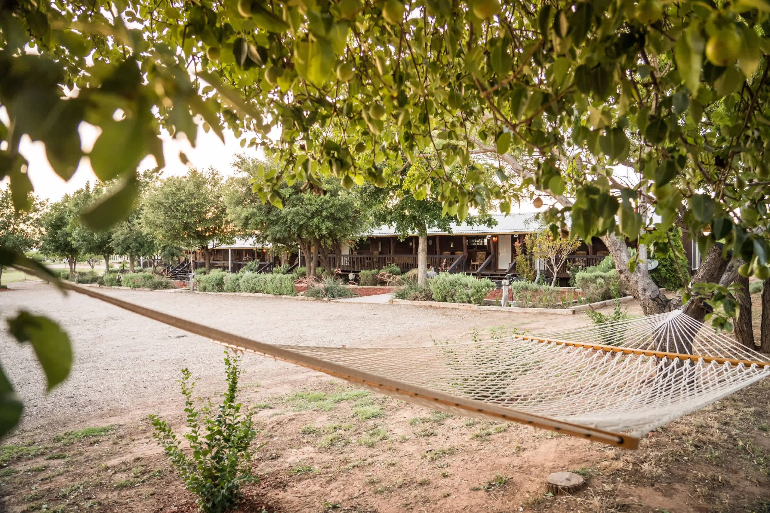 Lake Alan Henry Lodges