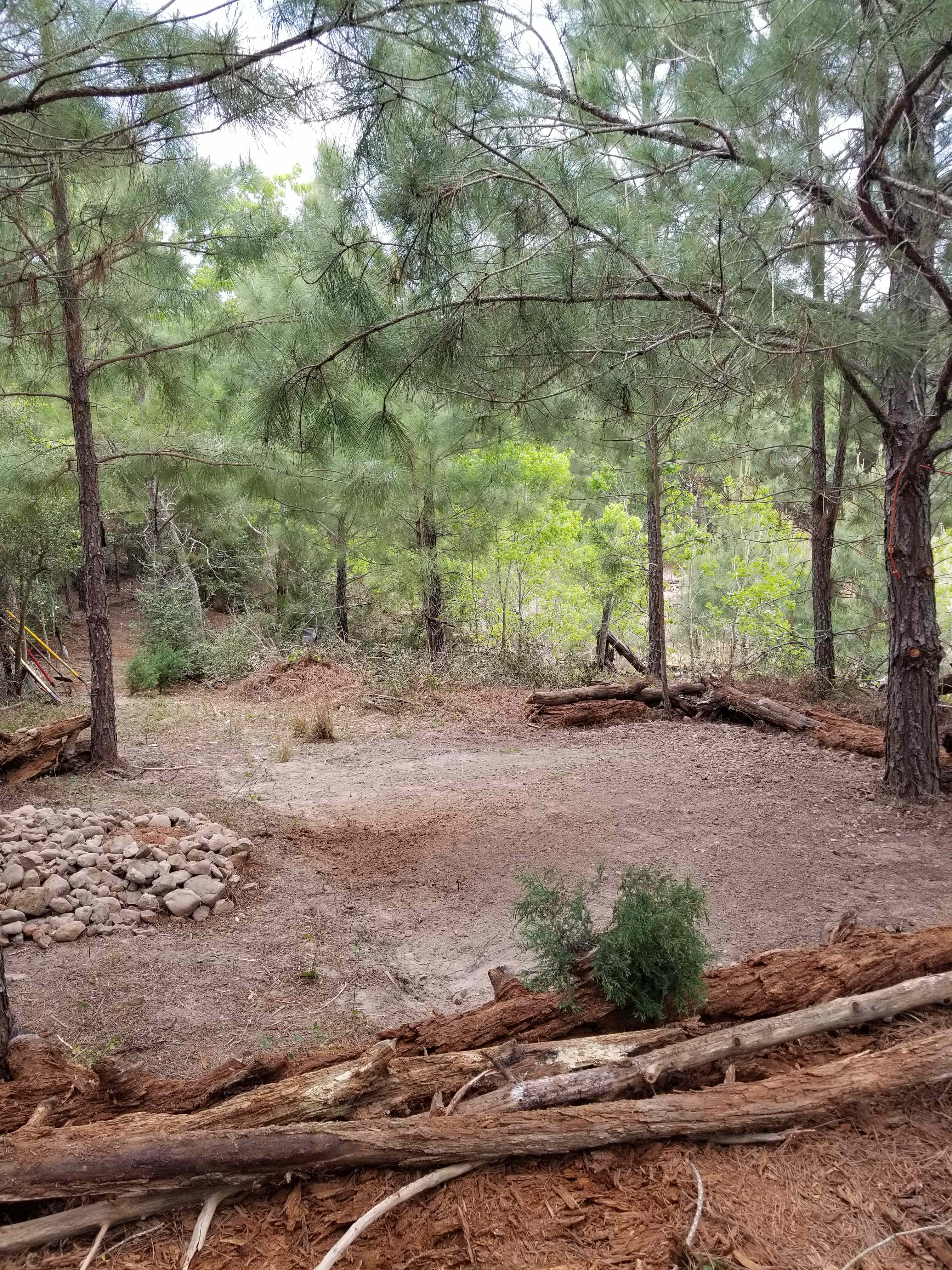 Lost Pines Camping