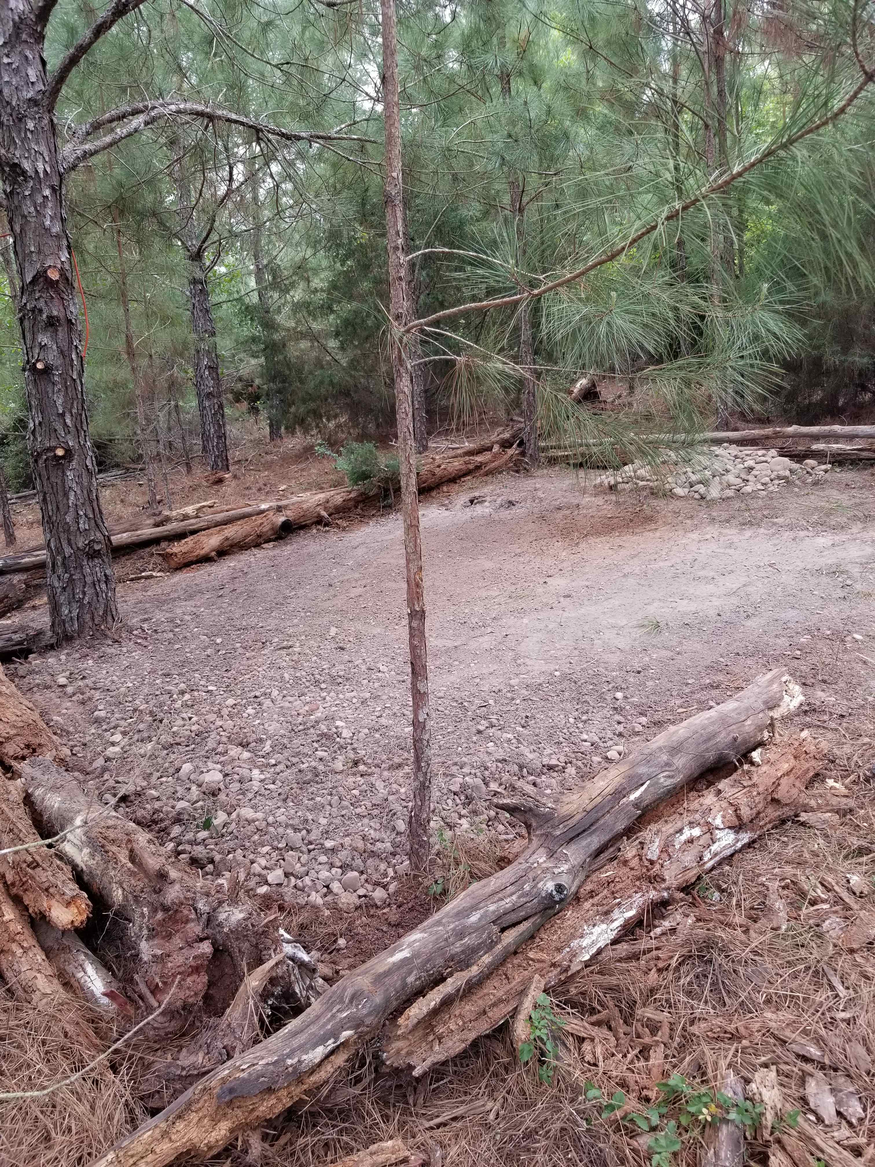 Lost Pines Camping