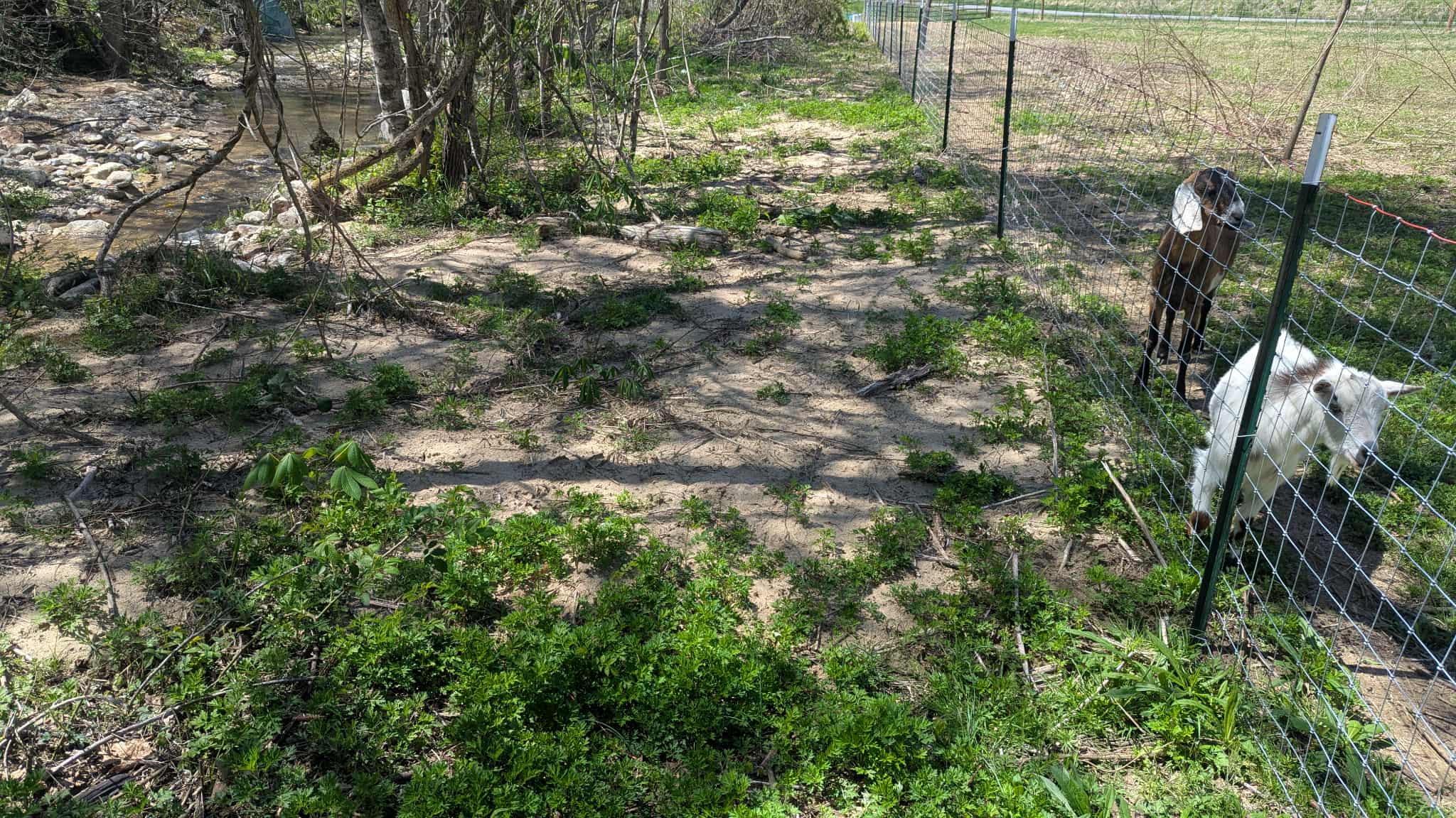 Intrepid Acres