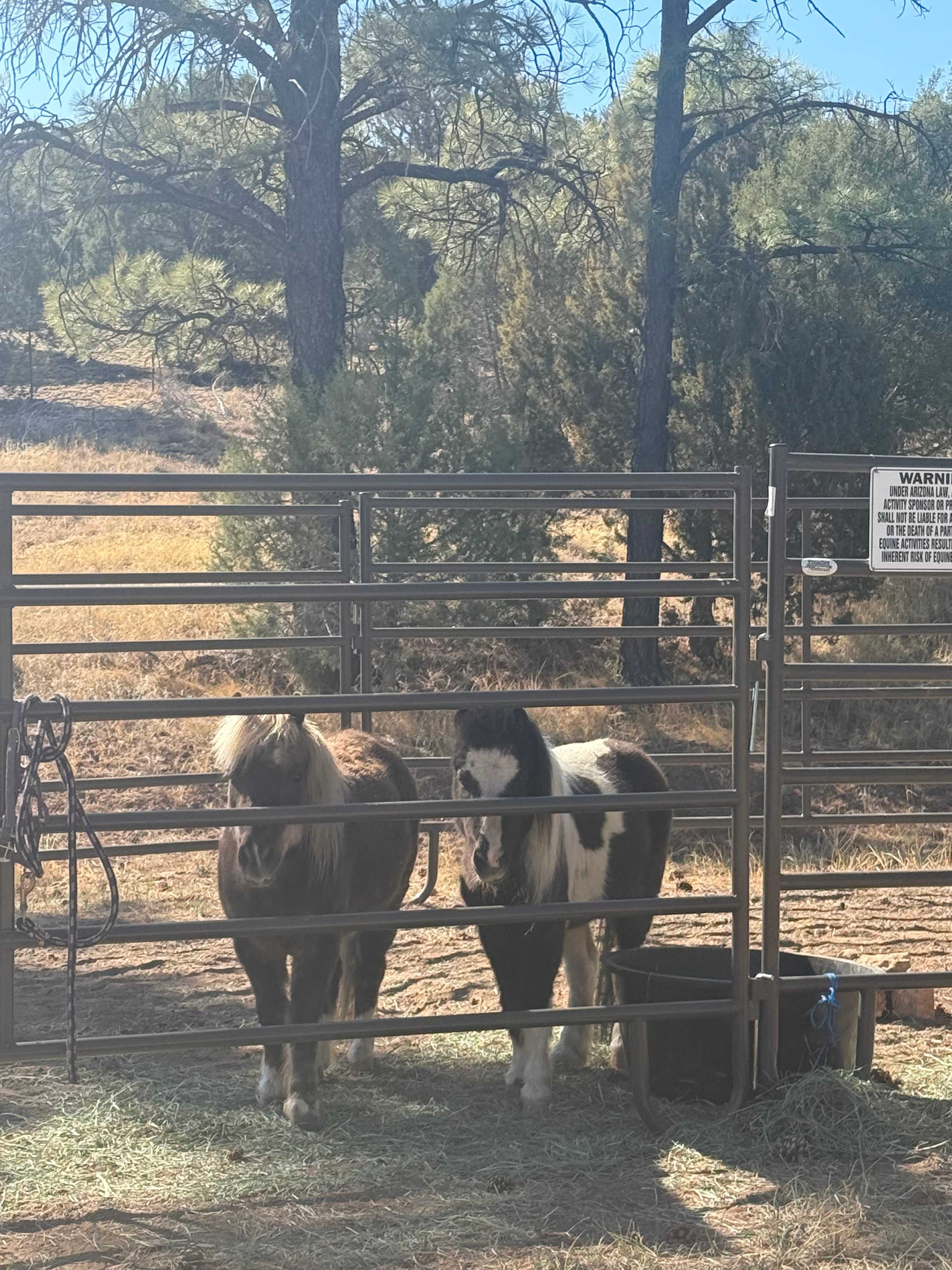 Horse friendly campsites and trails