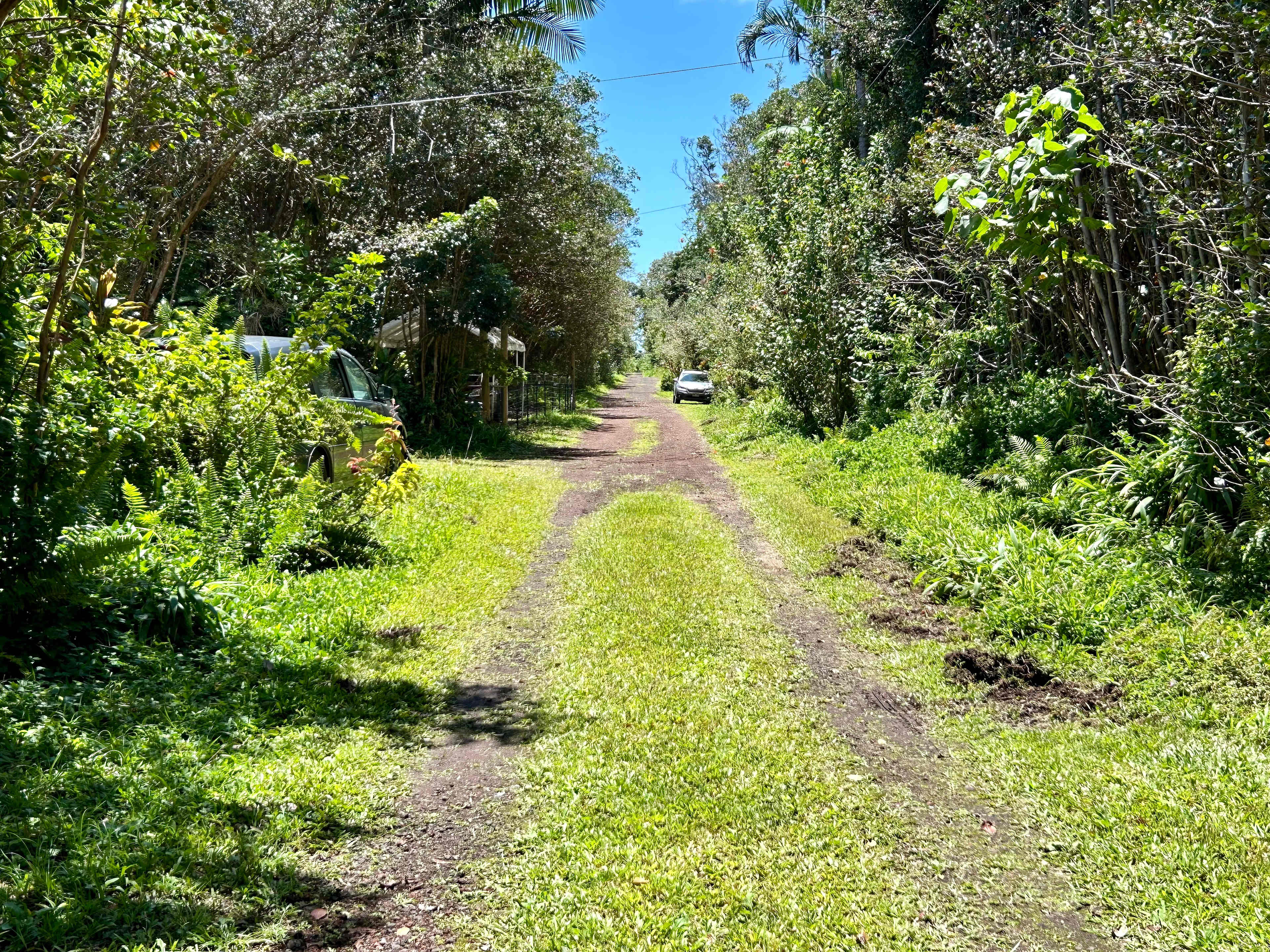Strawberry Guava Forest Hideaway
