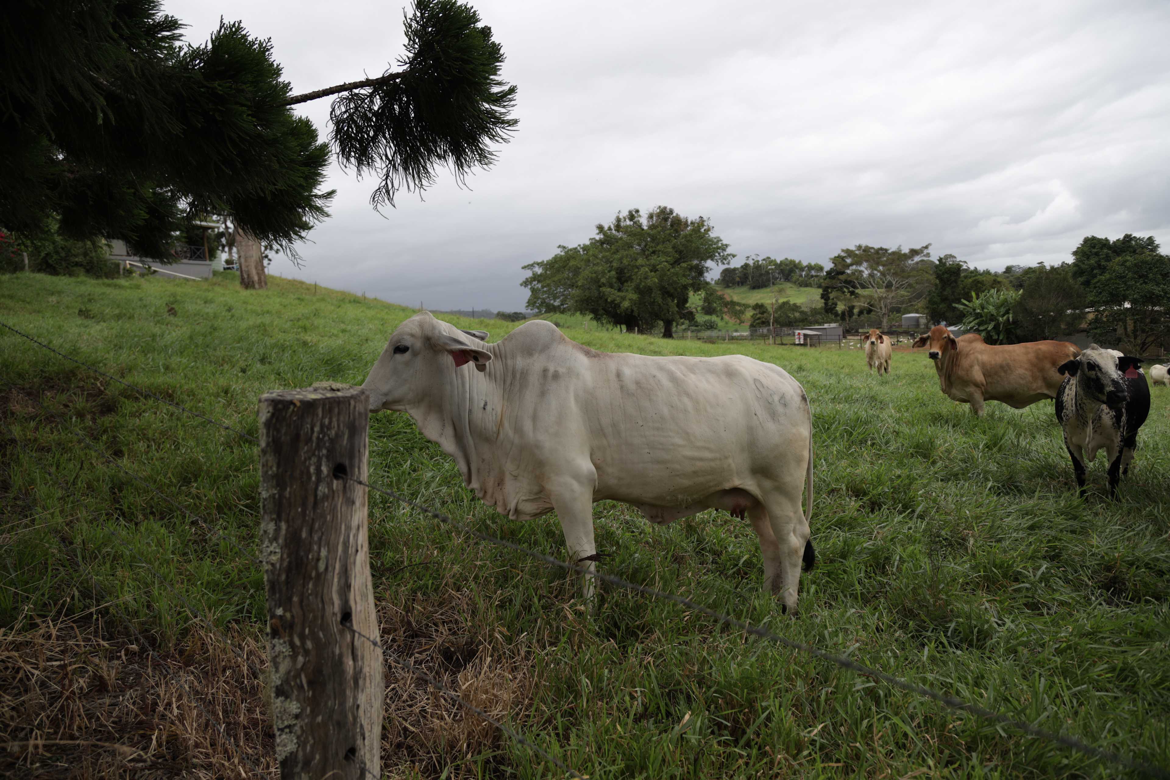 Barrine Farmstay And Camping