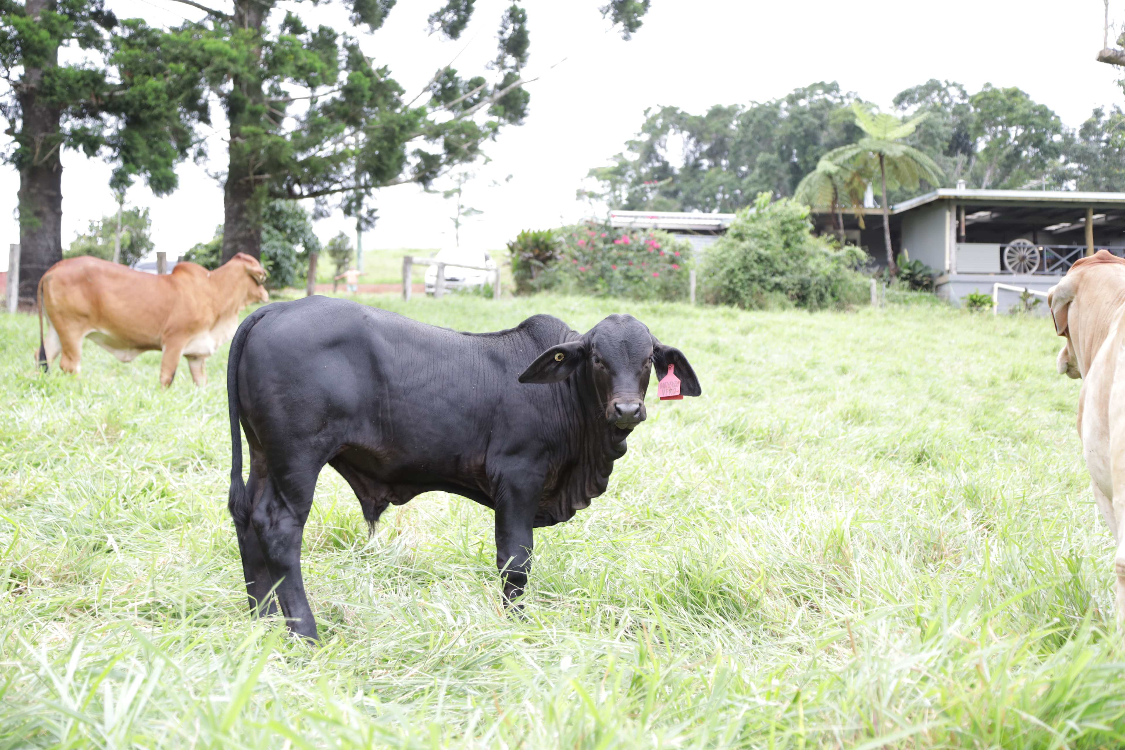 Barrine Farmstay And Camping