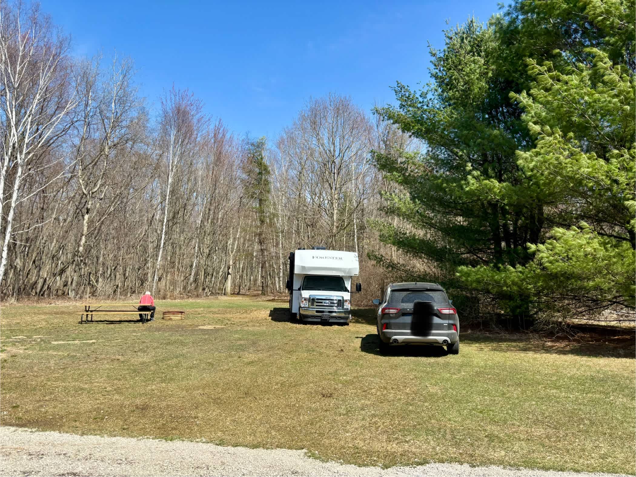 Picture of the site