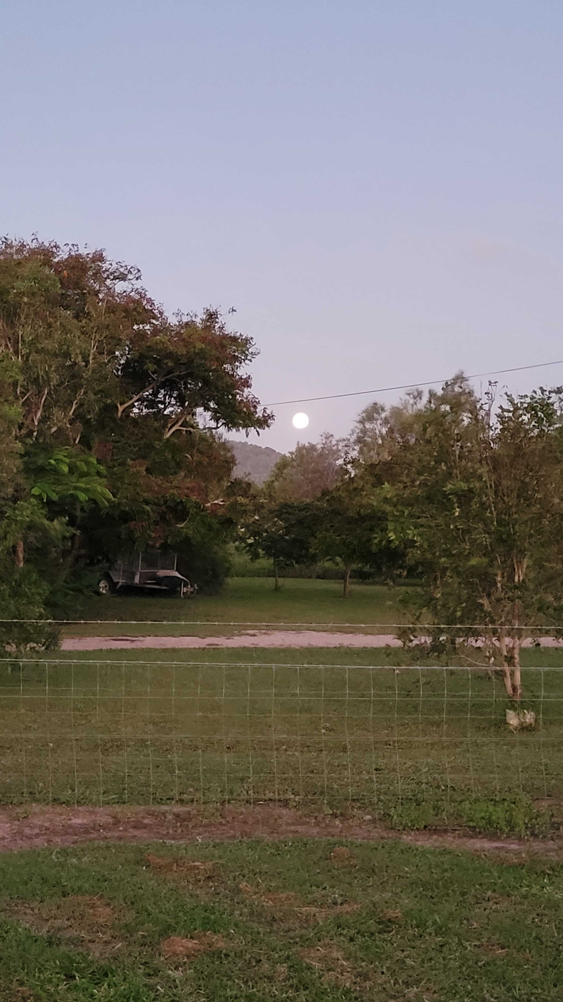 Jenkins Farm