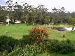 Platypus Creek