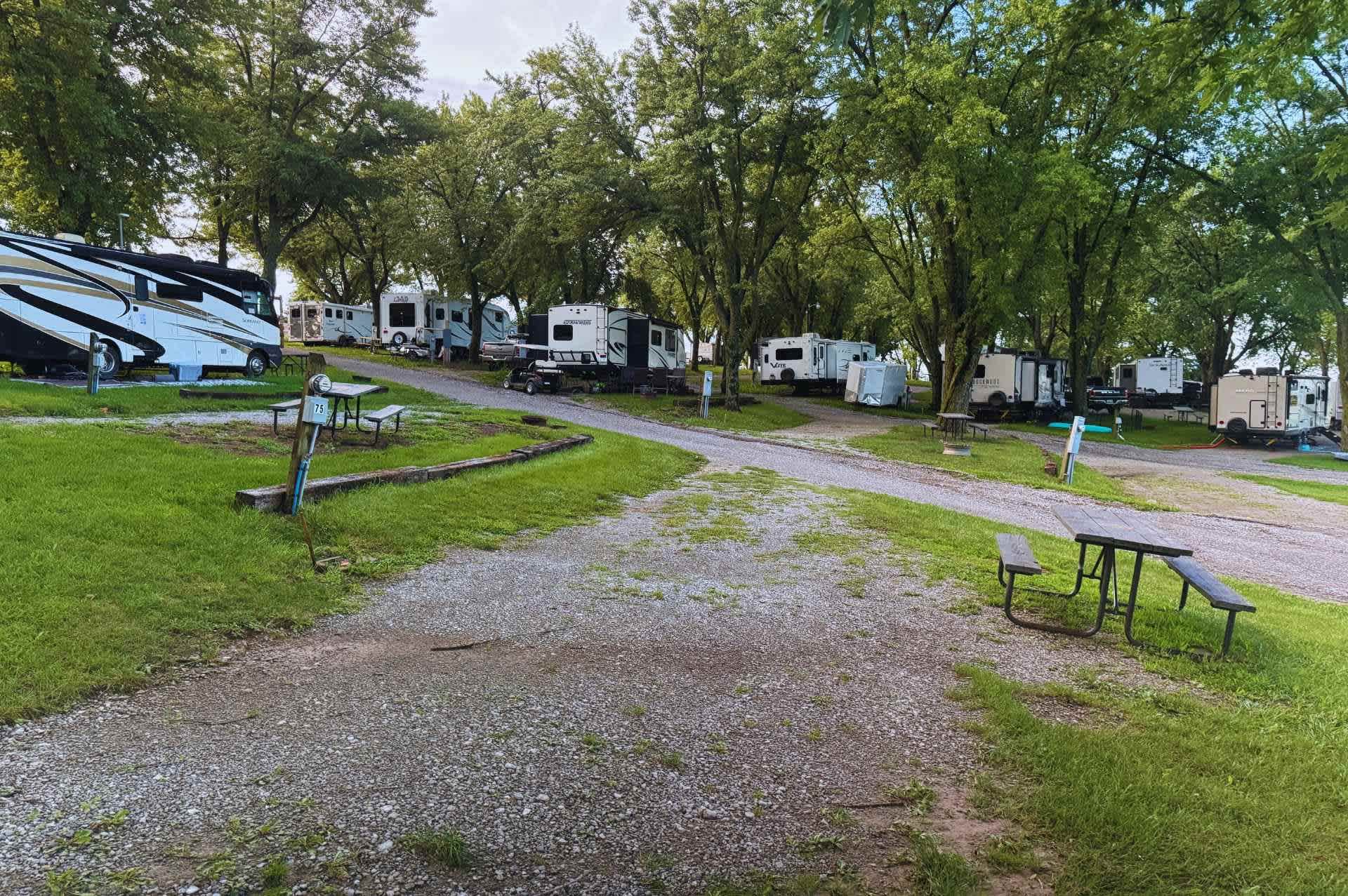 Picture of the site