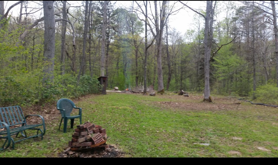 Quiet Paradise