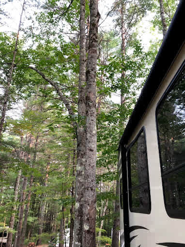 Poland Spring Campground
