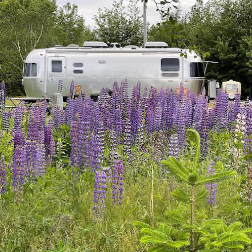 Greenlaw's RV Park and Campground