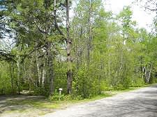 Hadley's Point Campground