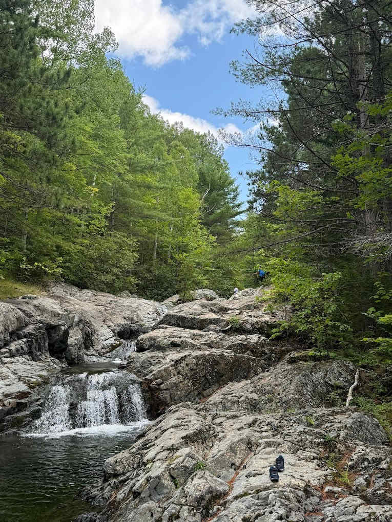 Matagamon Wilderness