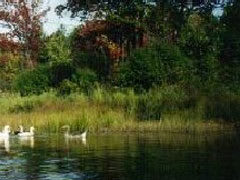 Hazen’s Notch Campground