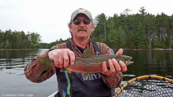 Northern Pride Lodge and Campground