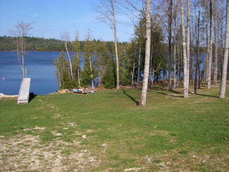 Wanderin Moose Campground
