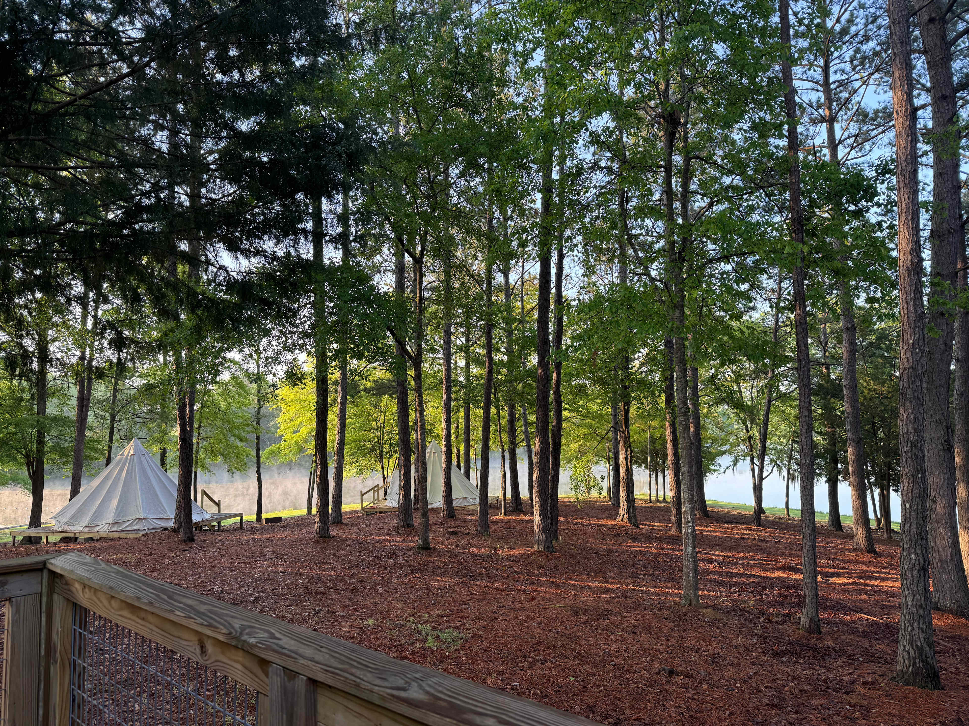 View from the back porch