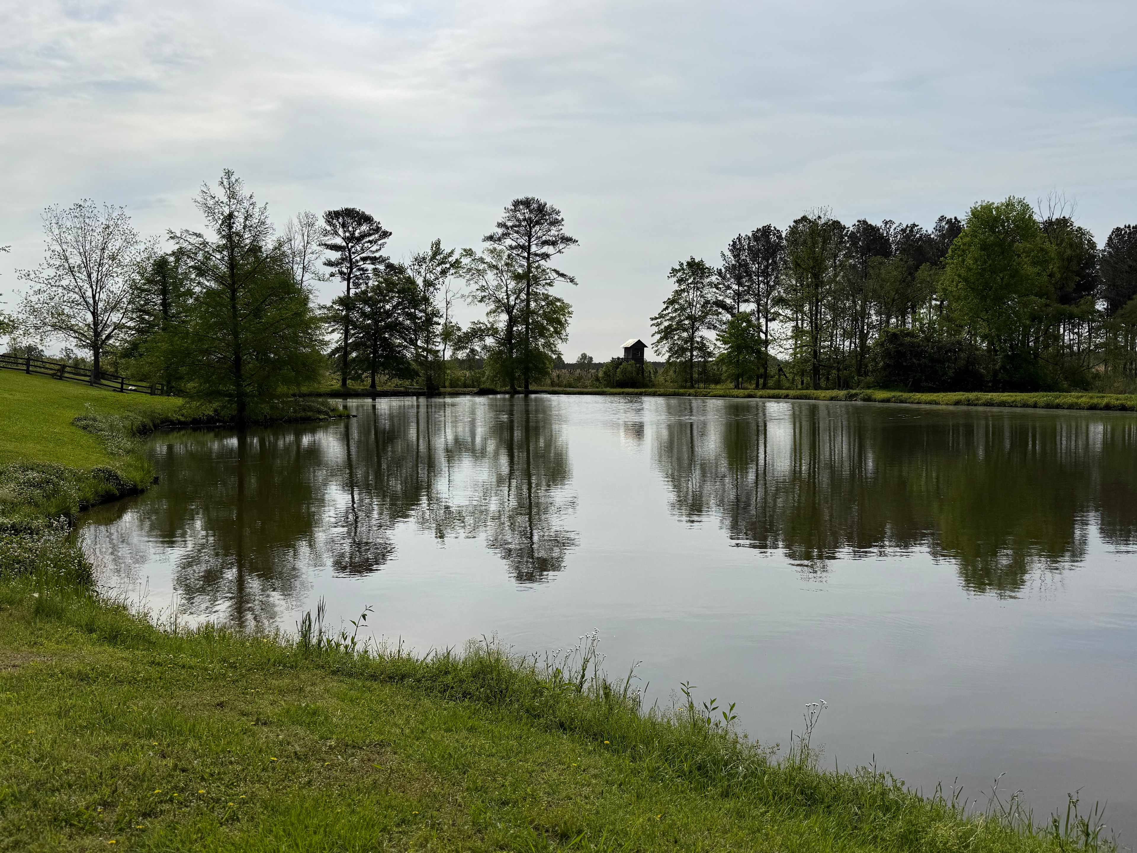 Rock Hill Campsite