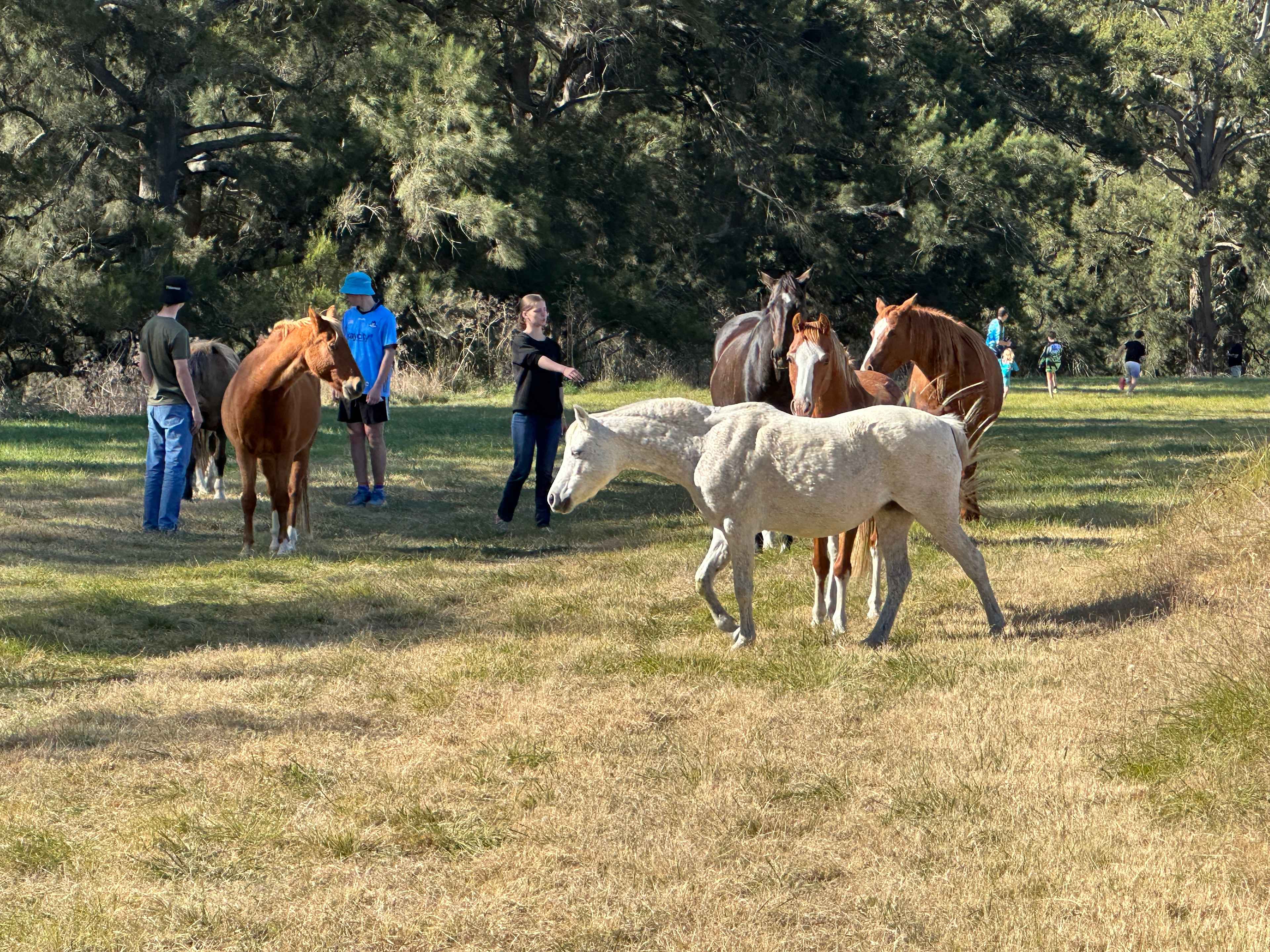 Riveroak Farm
