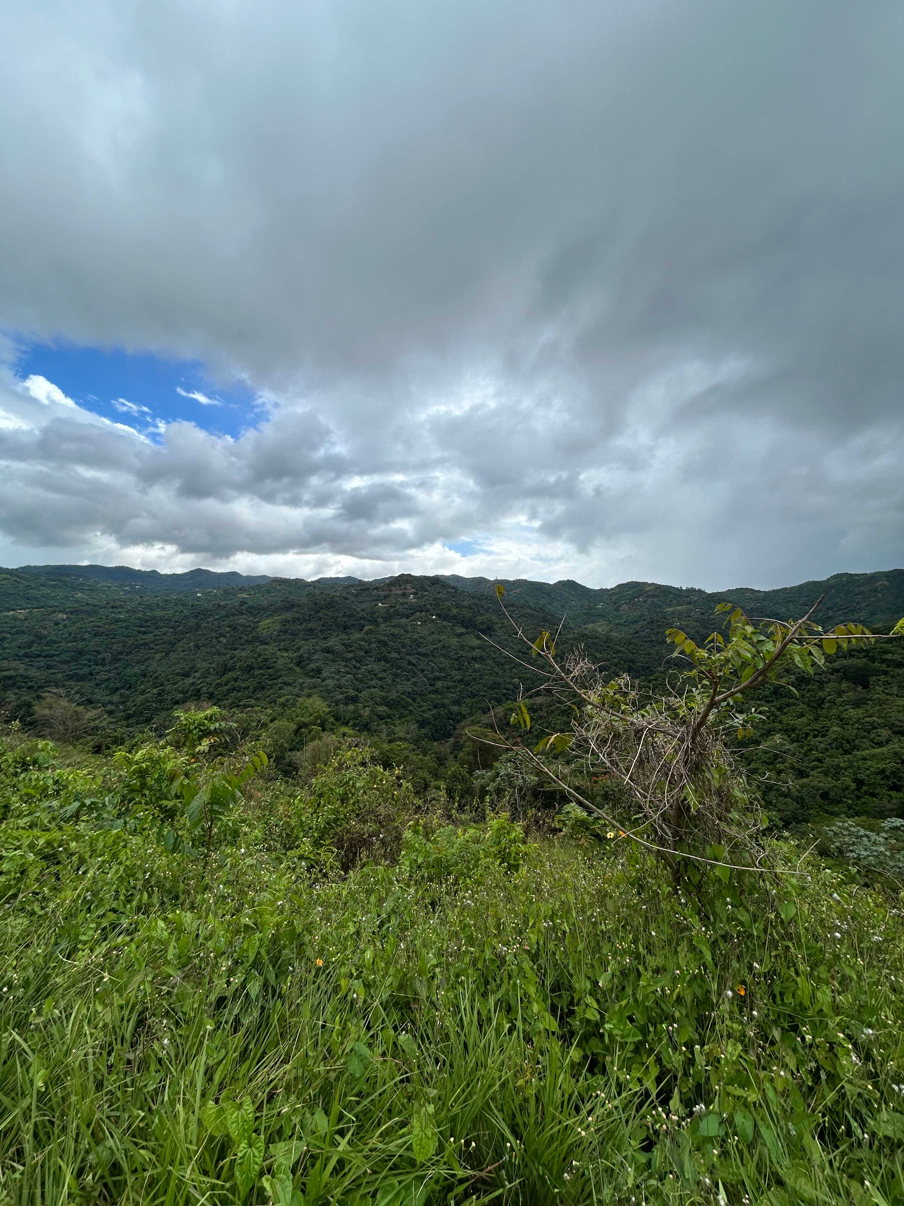 Finca Sajorí