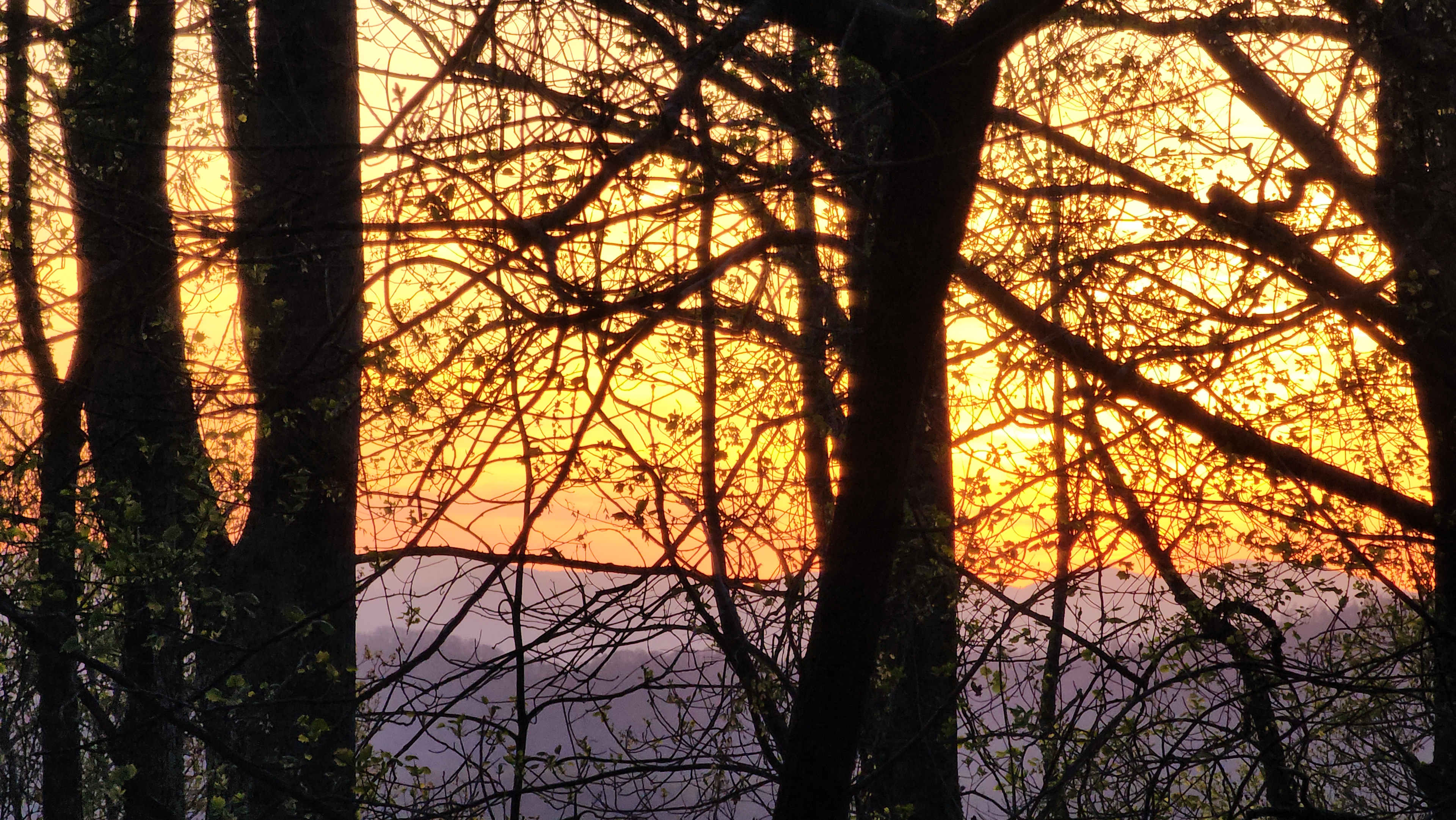 Sunsets were stunning