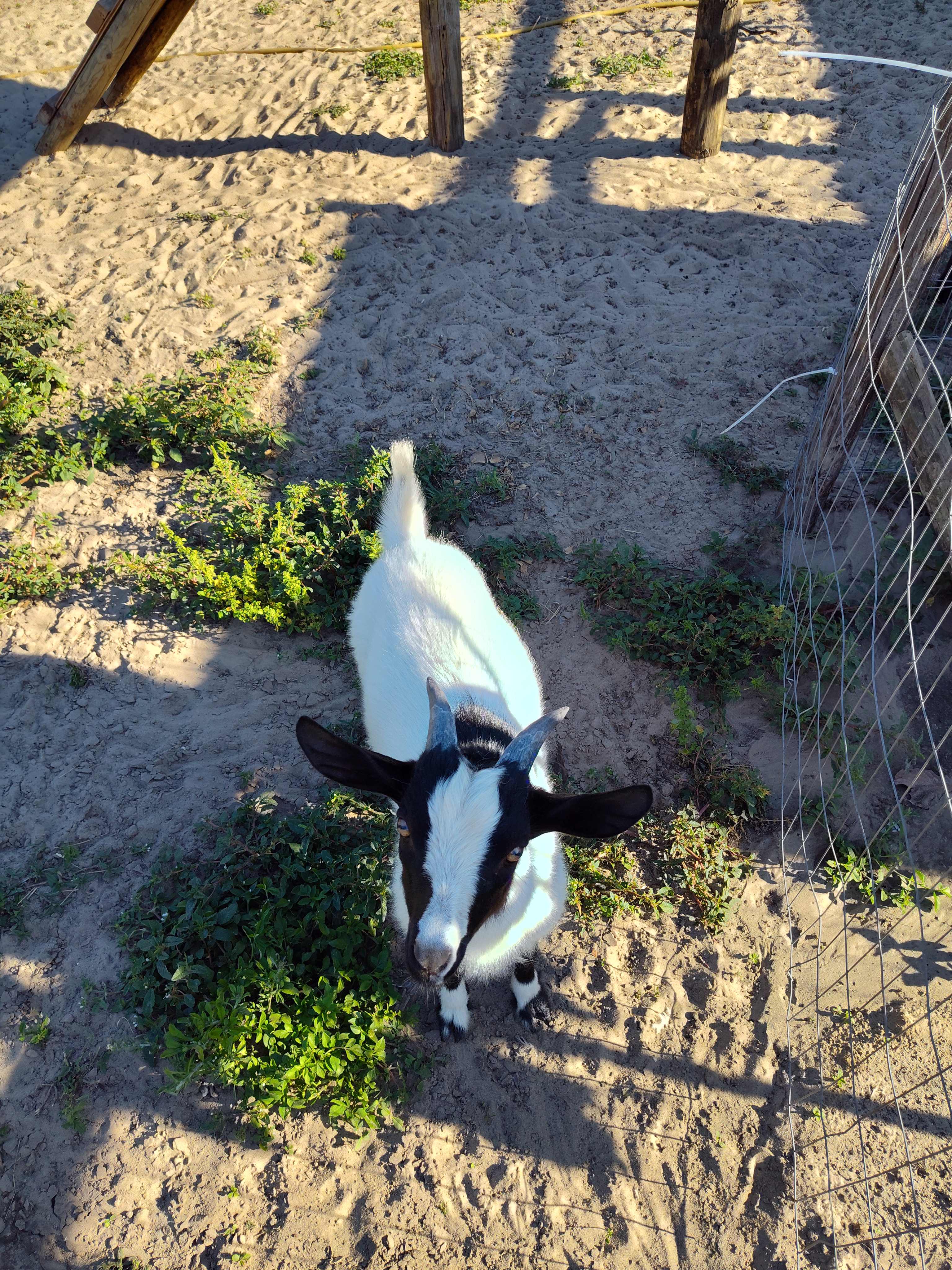 Gulf Winds Wildlife Sanctuary