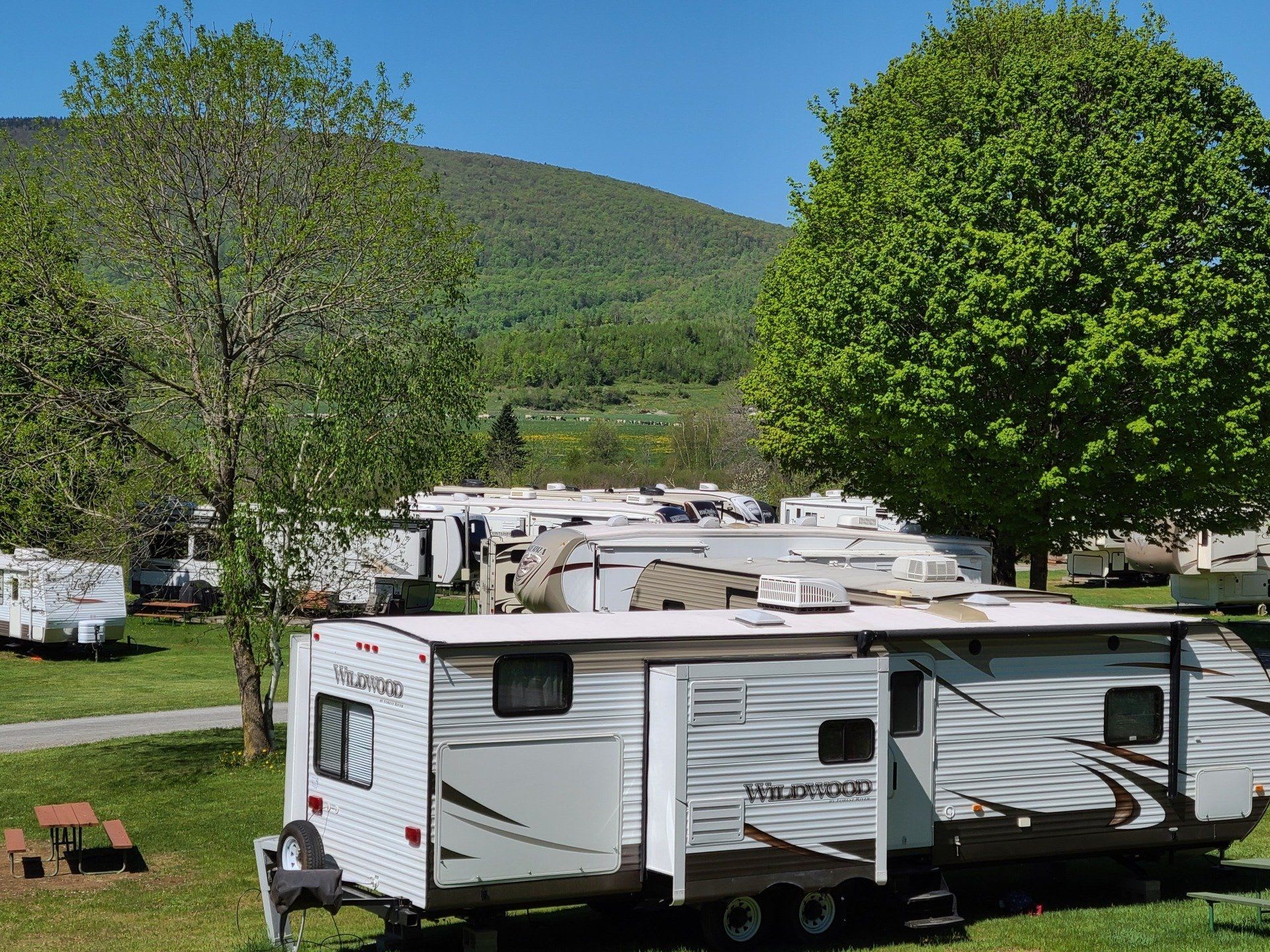 Water, Electric, Septic & Satellite Campsites