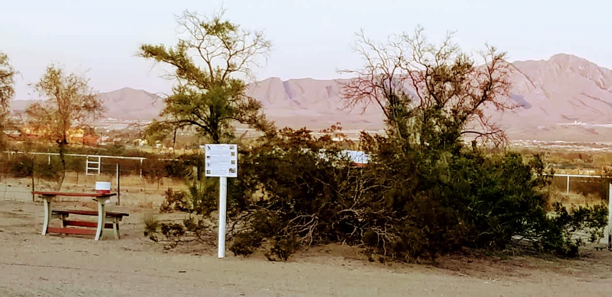 Spur-C Desert Oasis #1