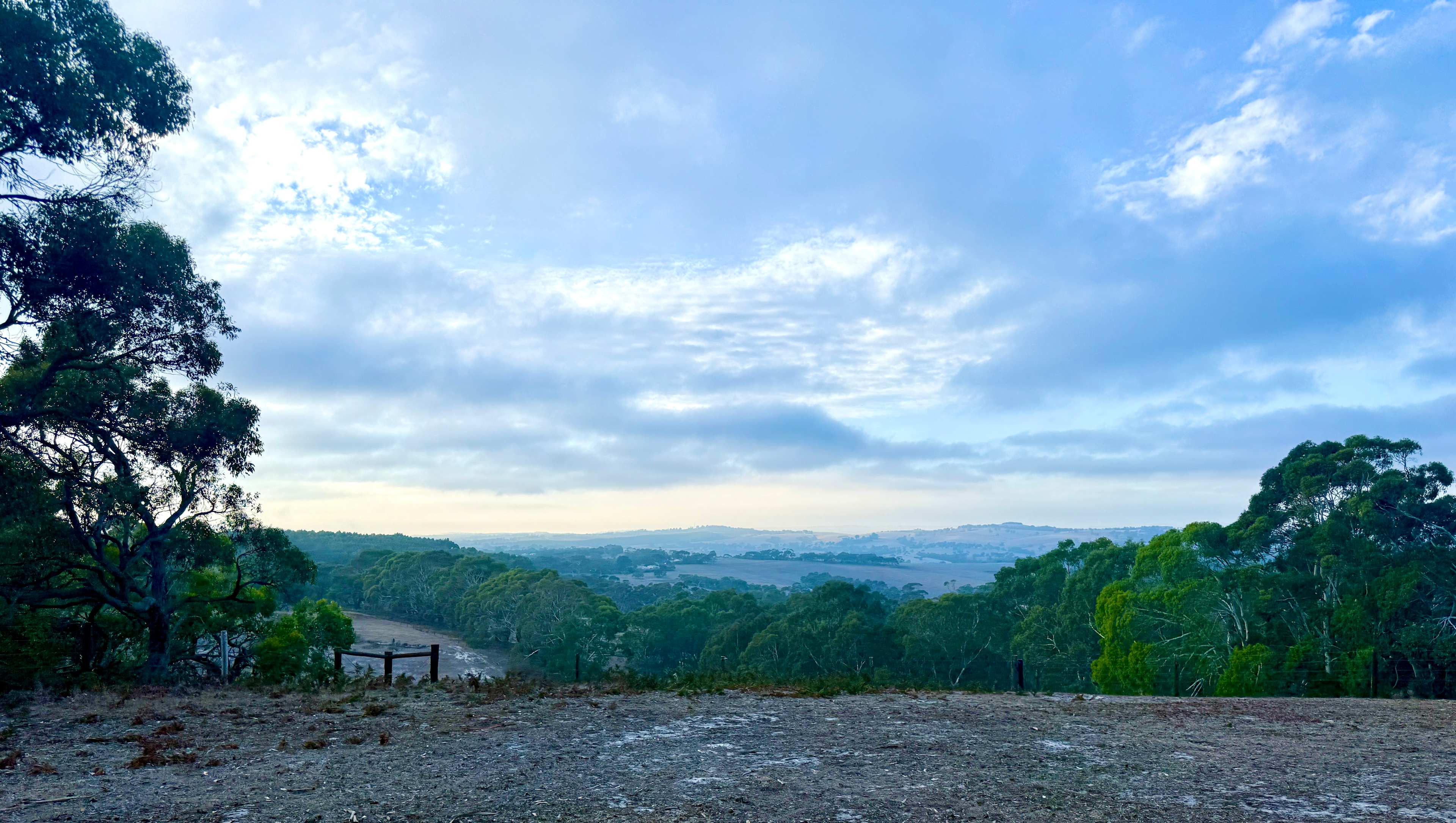 Drifting Sands Quarter Horses