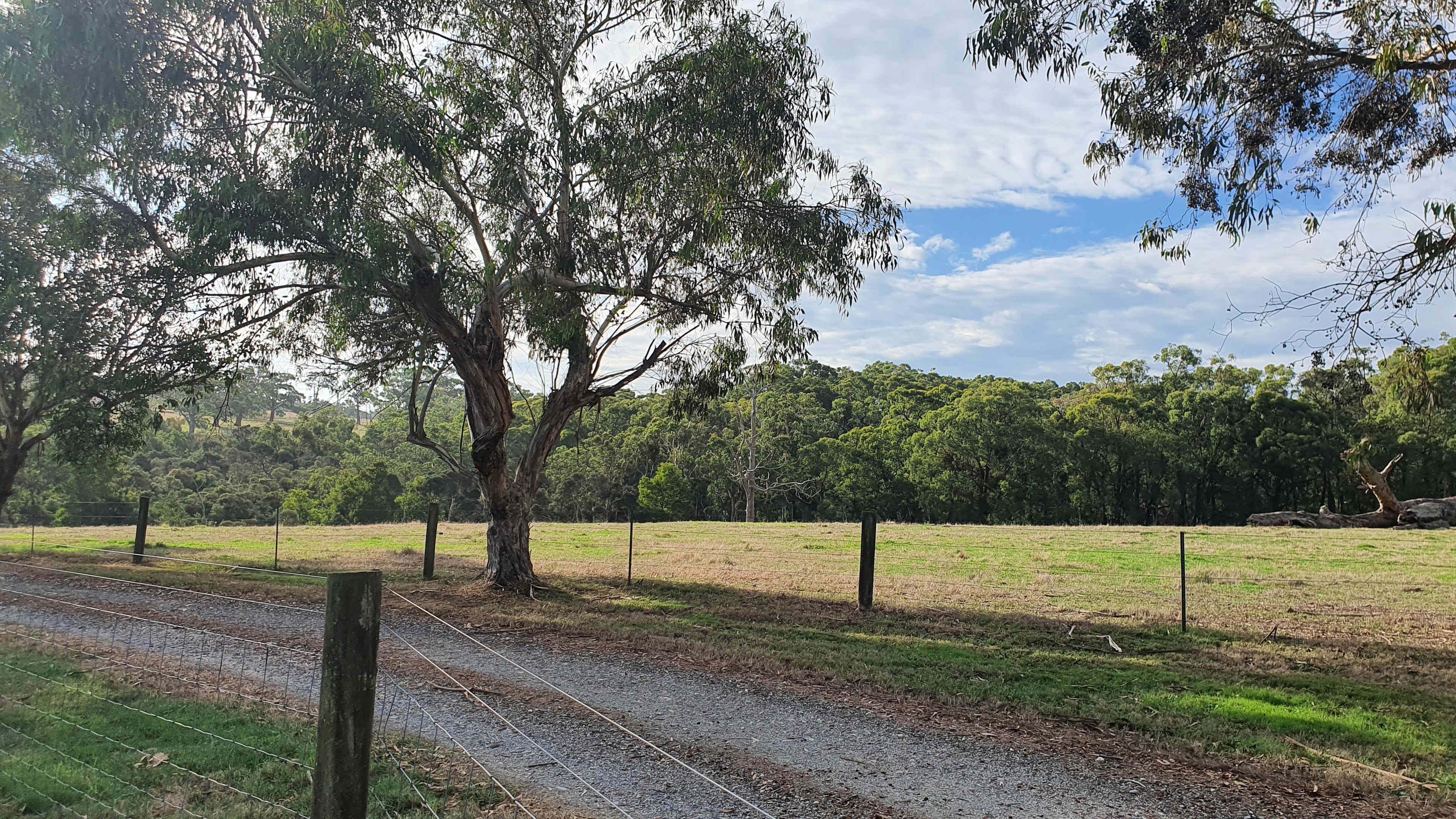 Clancy Springs, South Gippsland