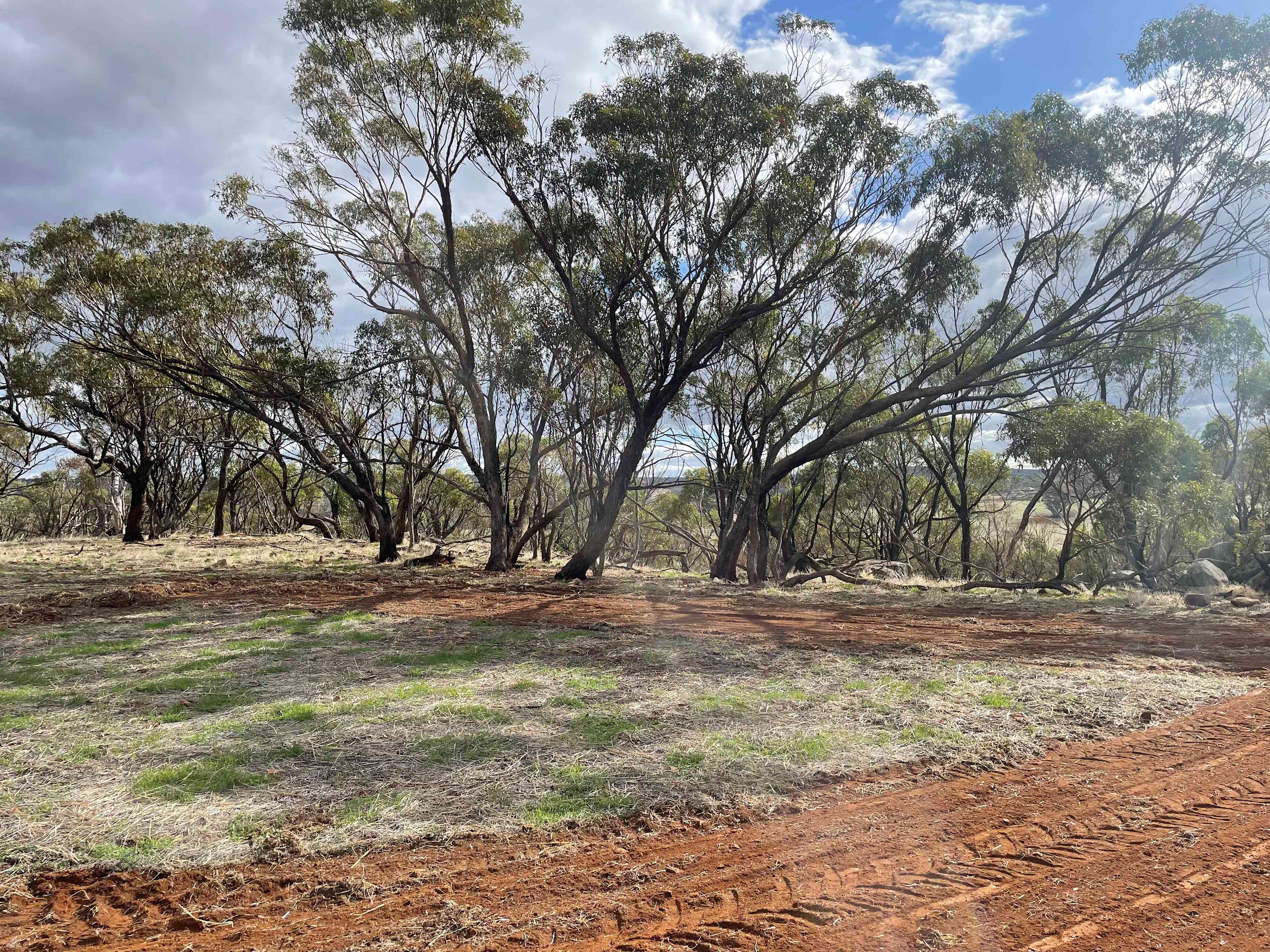 Sandalwood Downs  Farm Stay Toodyay