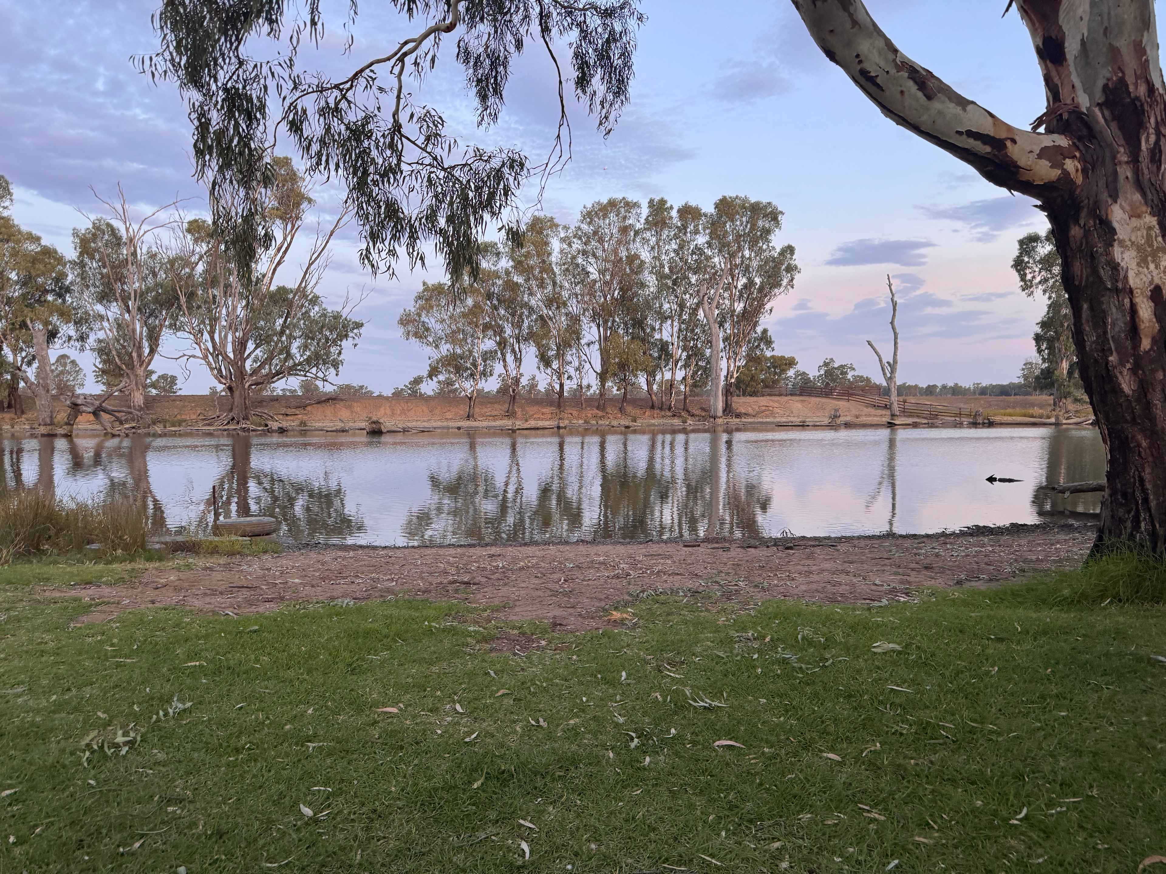 Cudgella on Bundidgerry Creek