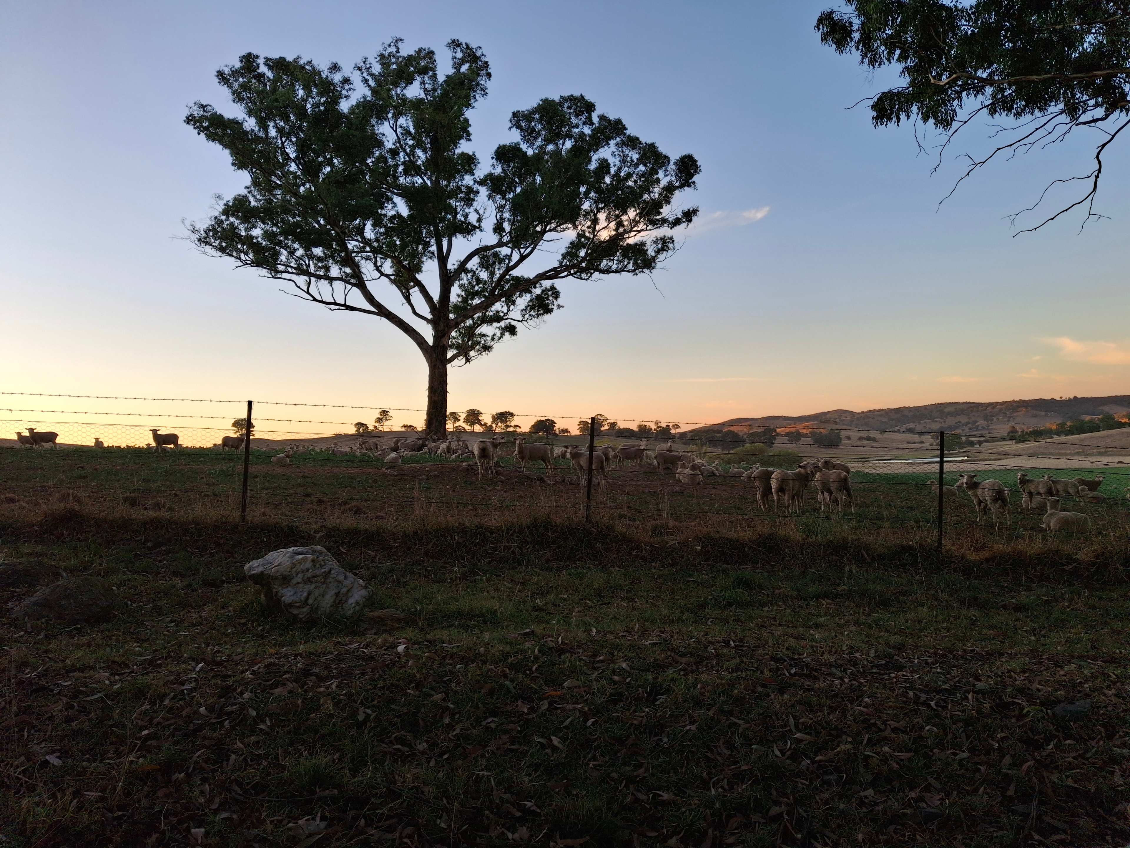 Mount Testa Campgrounds