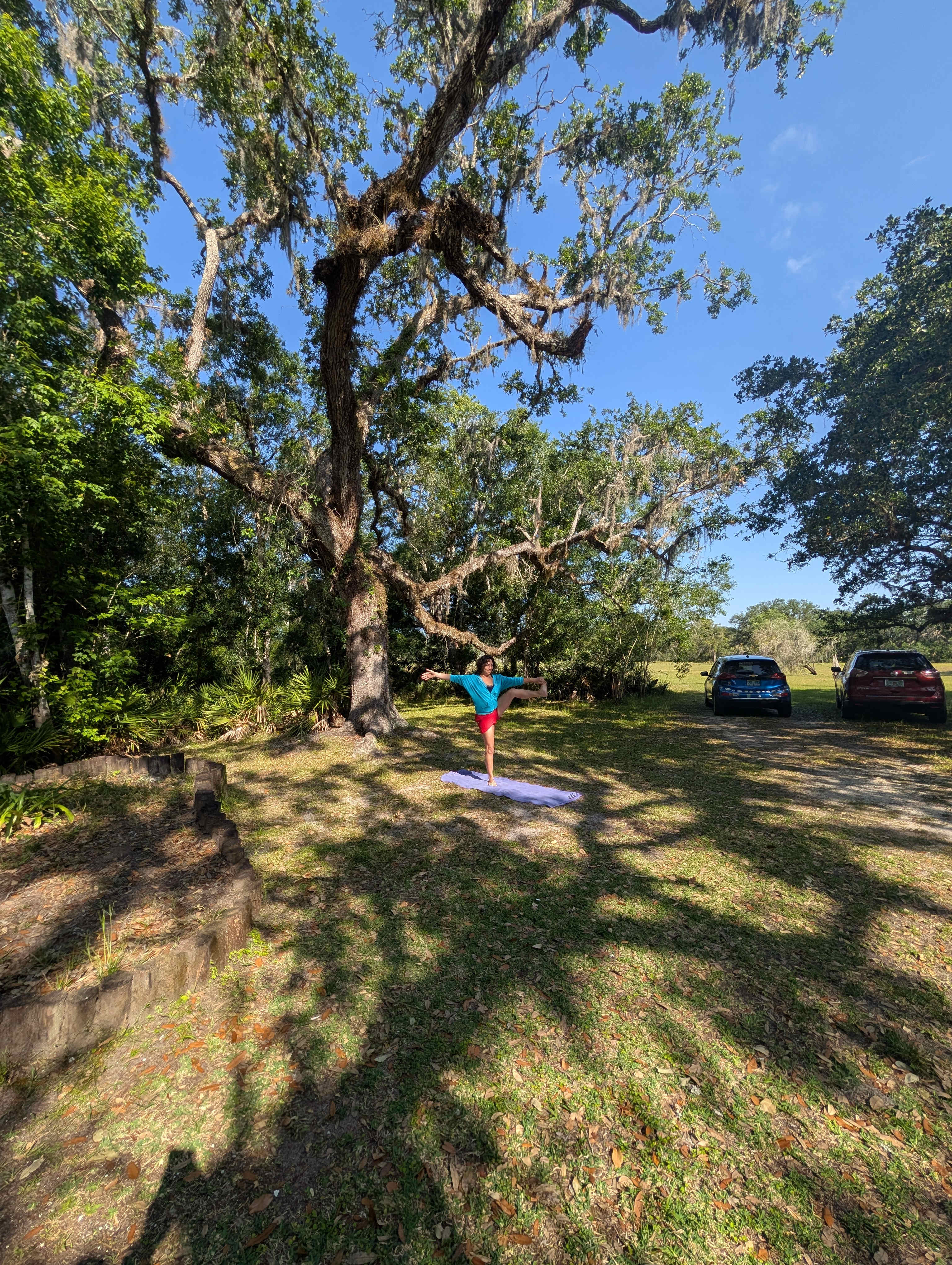 Yoga under the tree in morning sun 