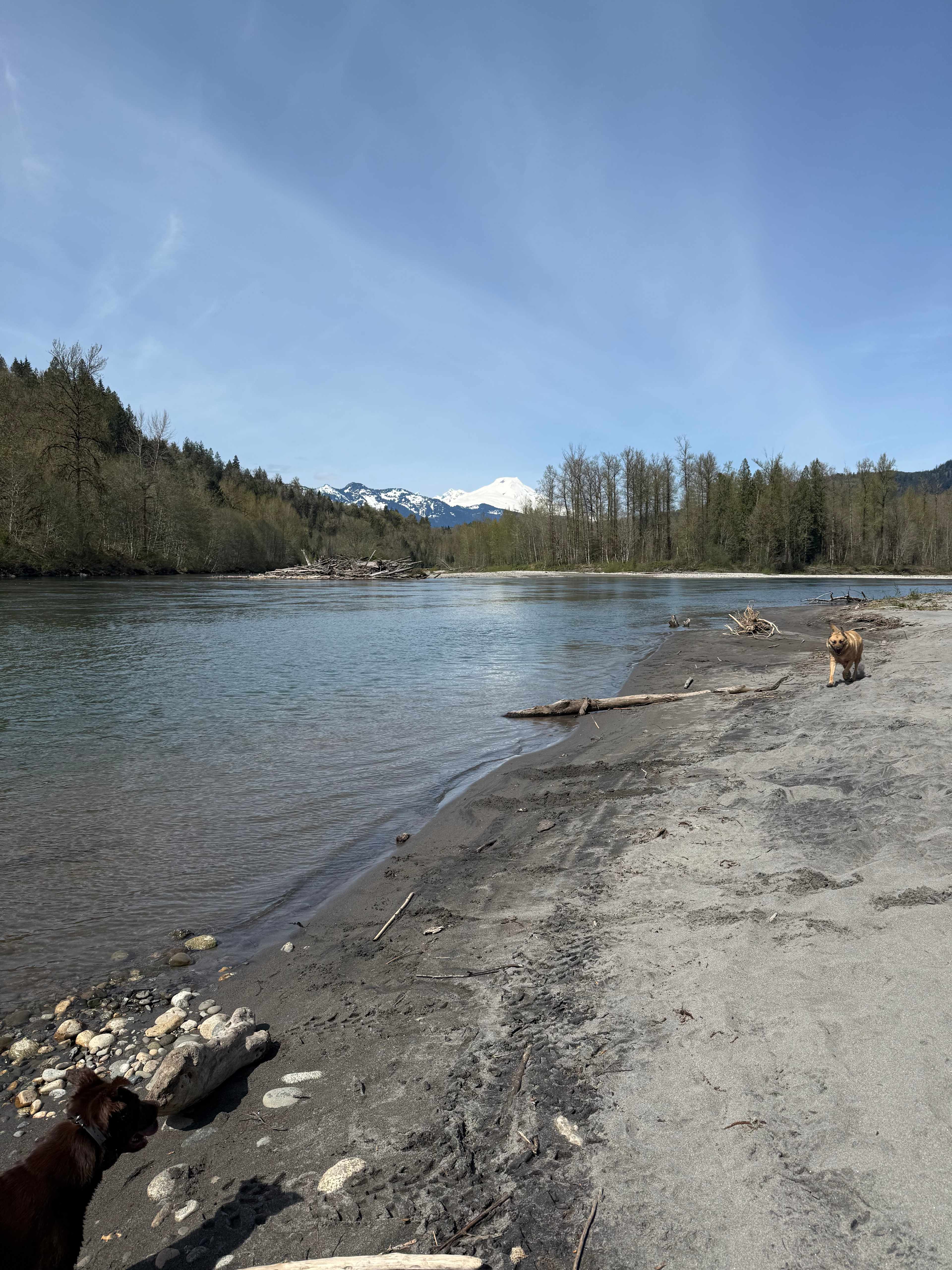 Reverence River Property