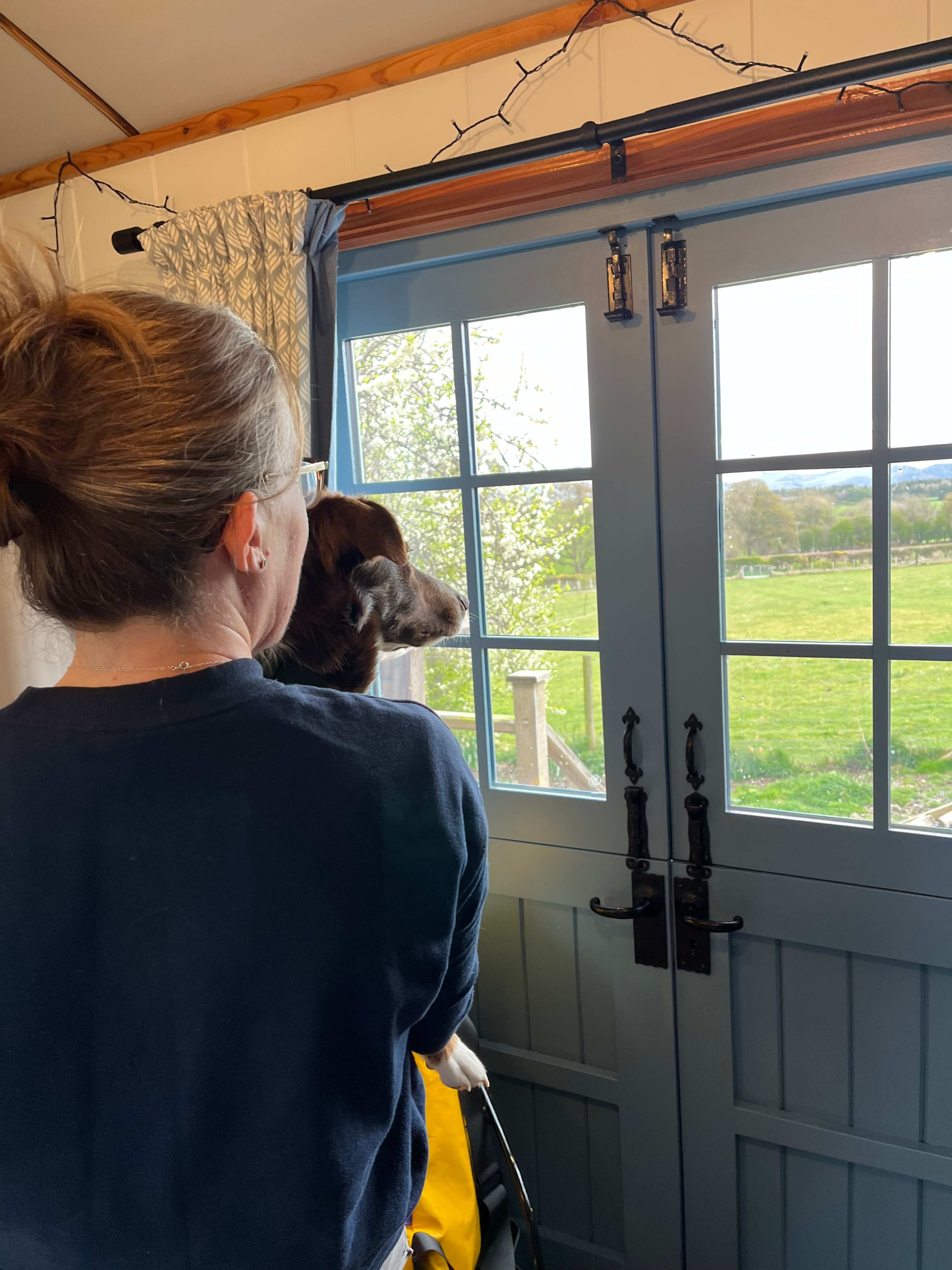Over-the-Moon Luxury Shepherds Hut