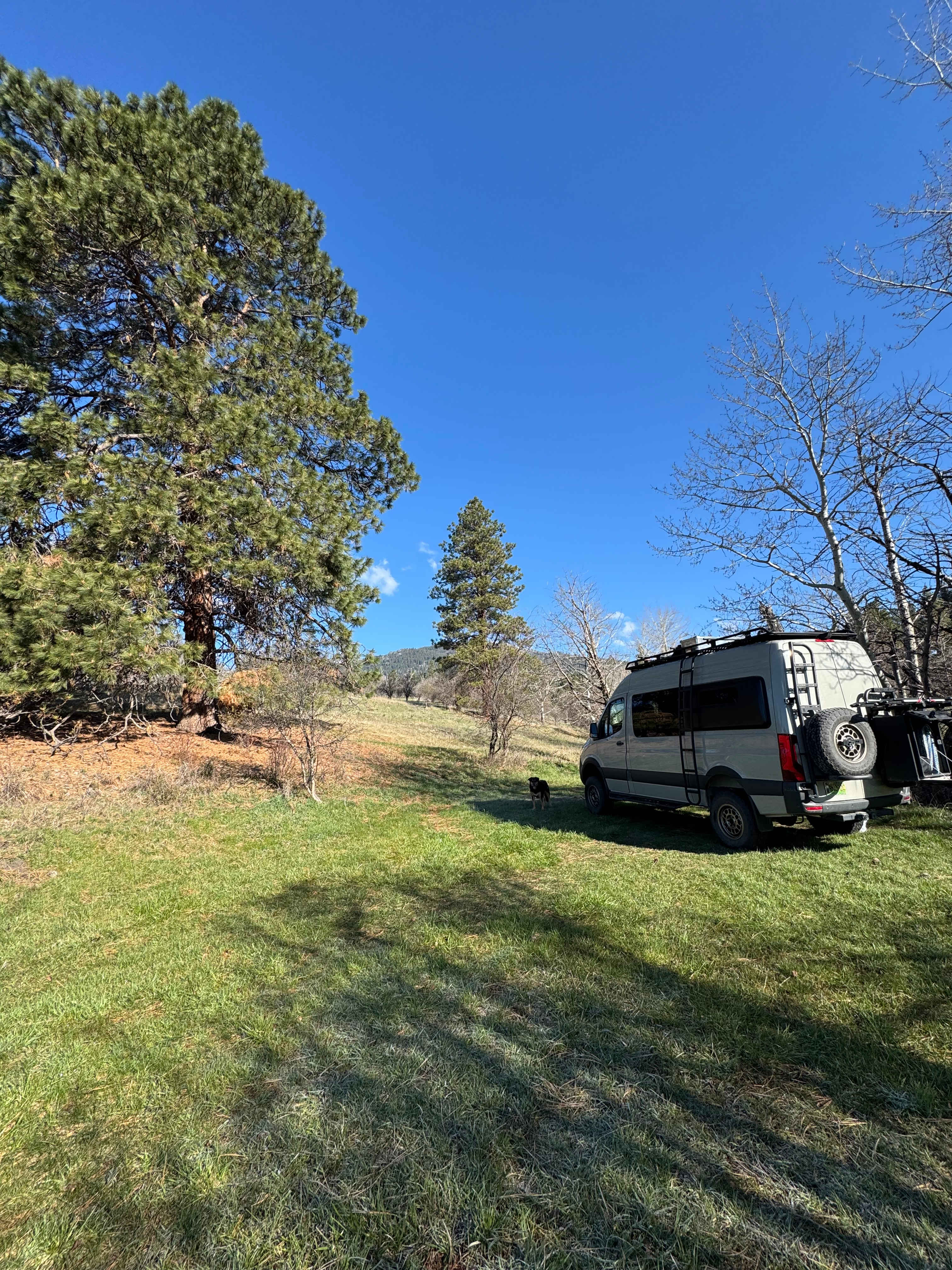 Creekside getaway 