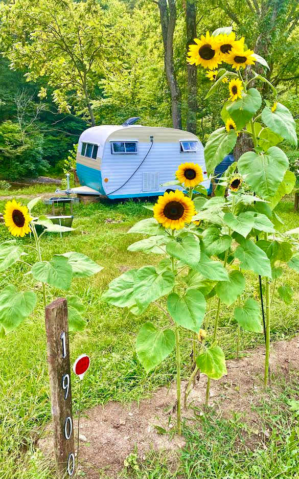Dry Creek Falls Fish Camp
