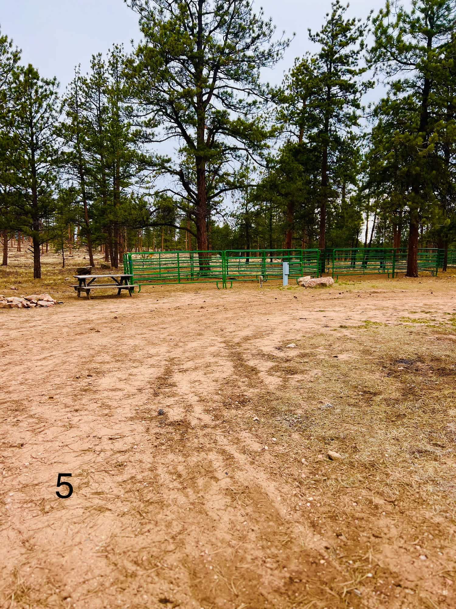 M Lazy C Ranch