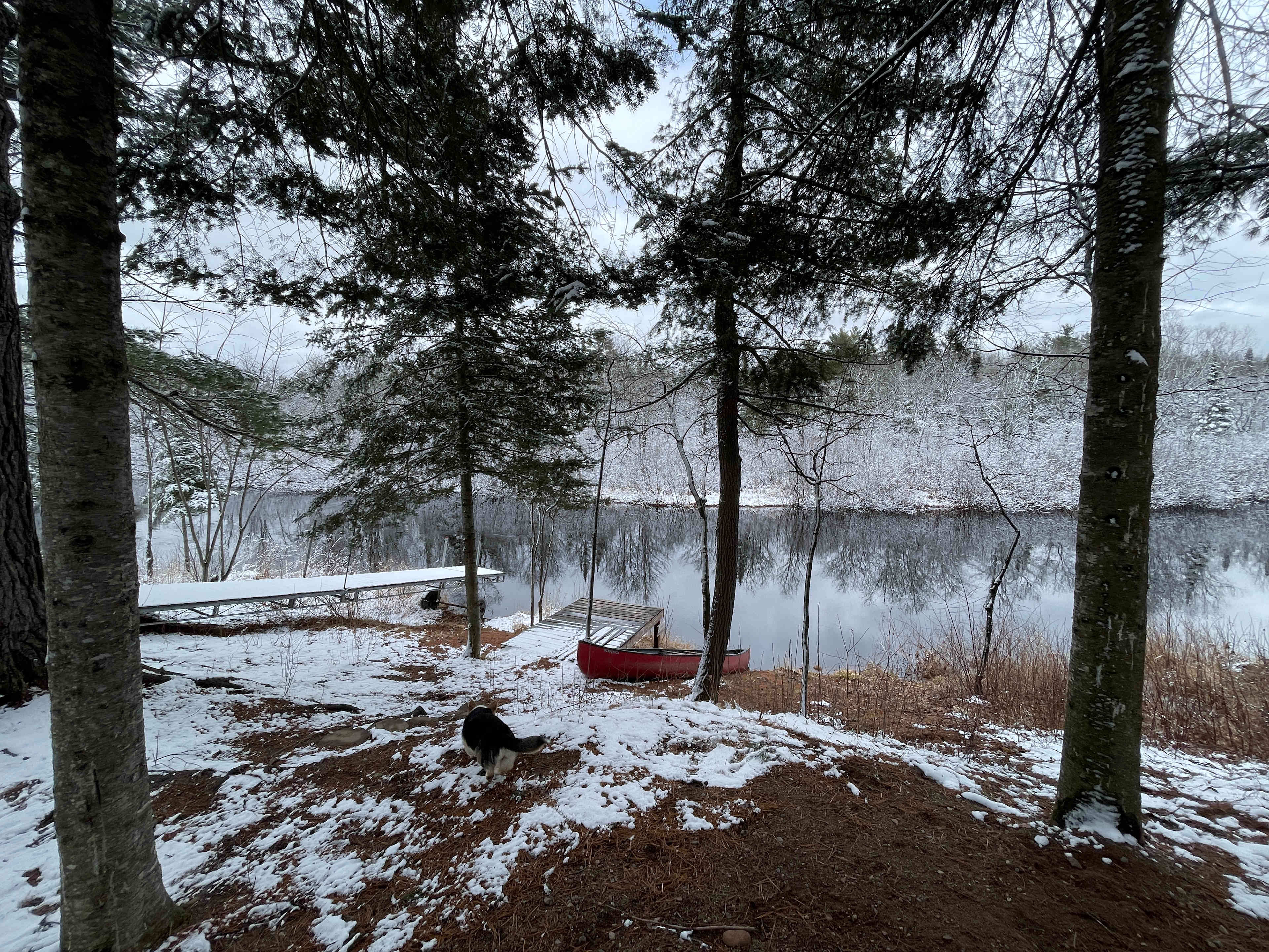 Bad River Wilderness