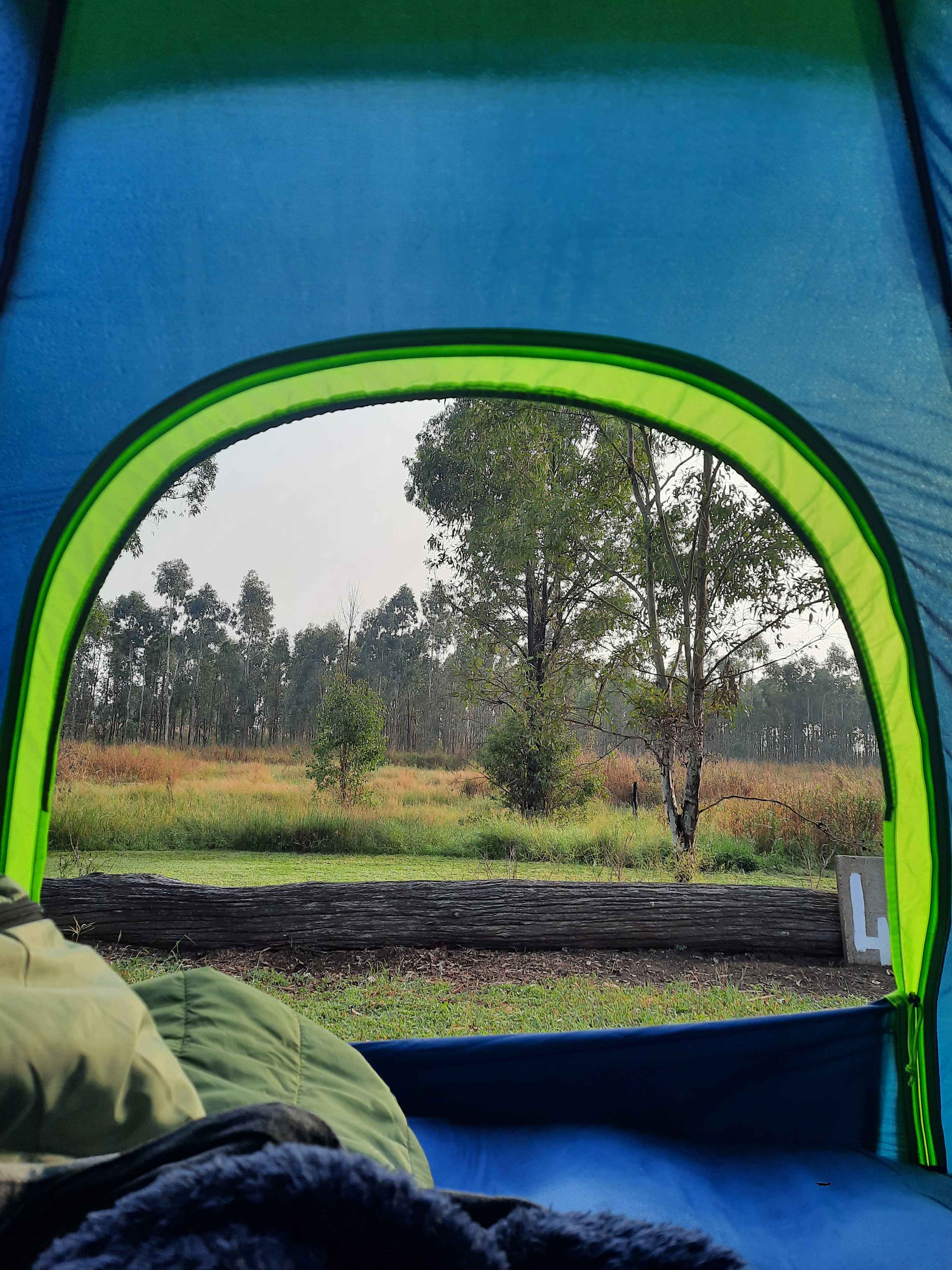 Monto Caravan and Cabin Park