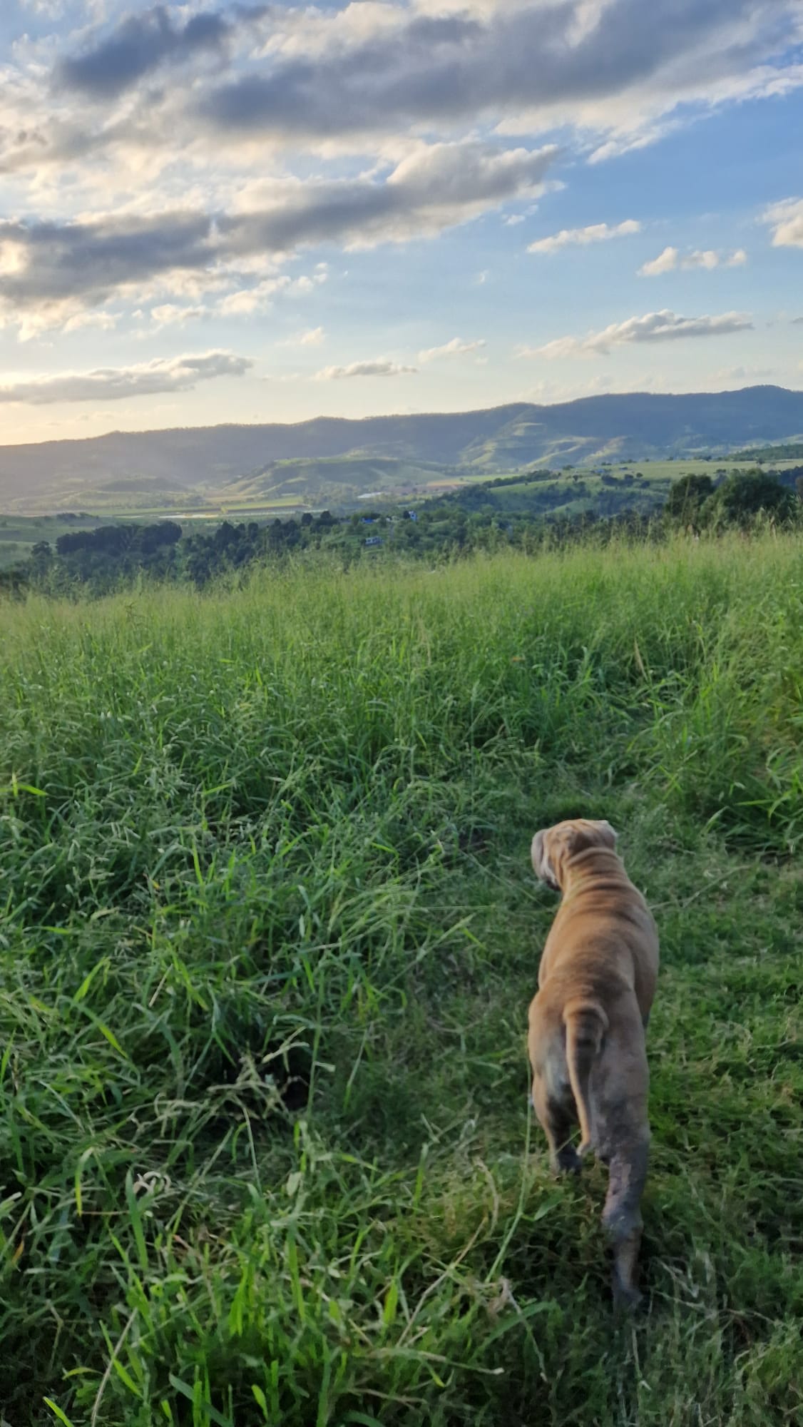 Echoes in the Valley Gatton Qld