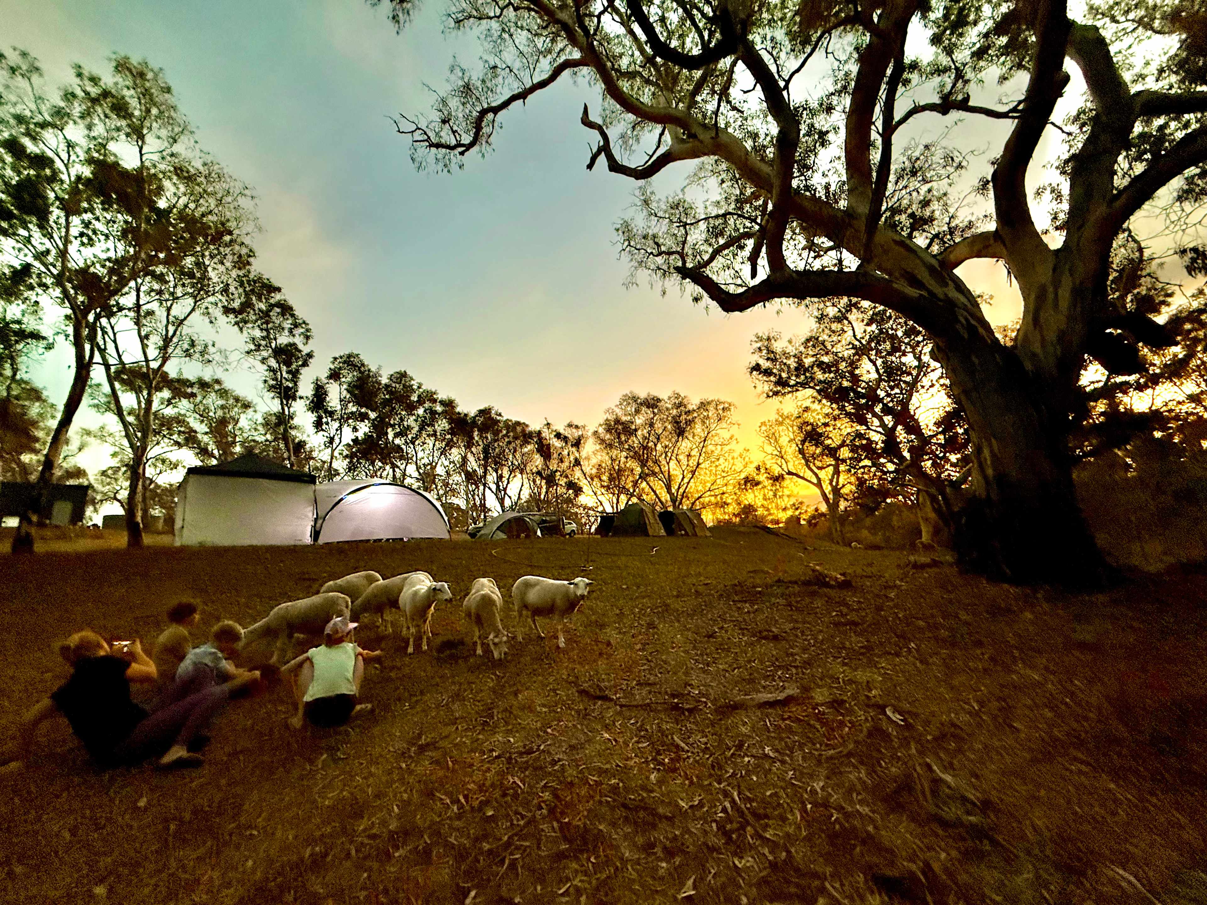 Sunset Rocks Farmstay