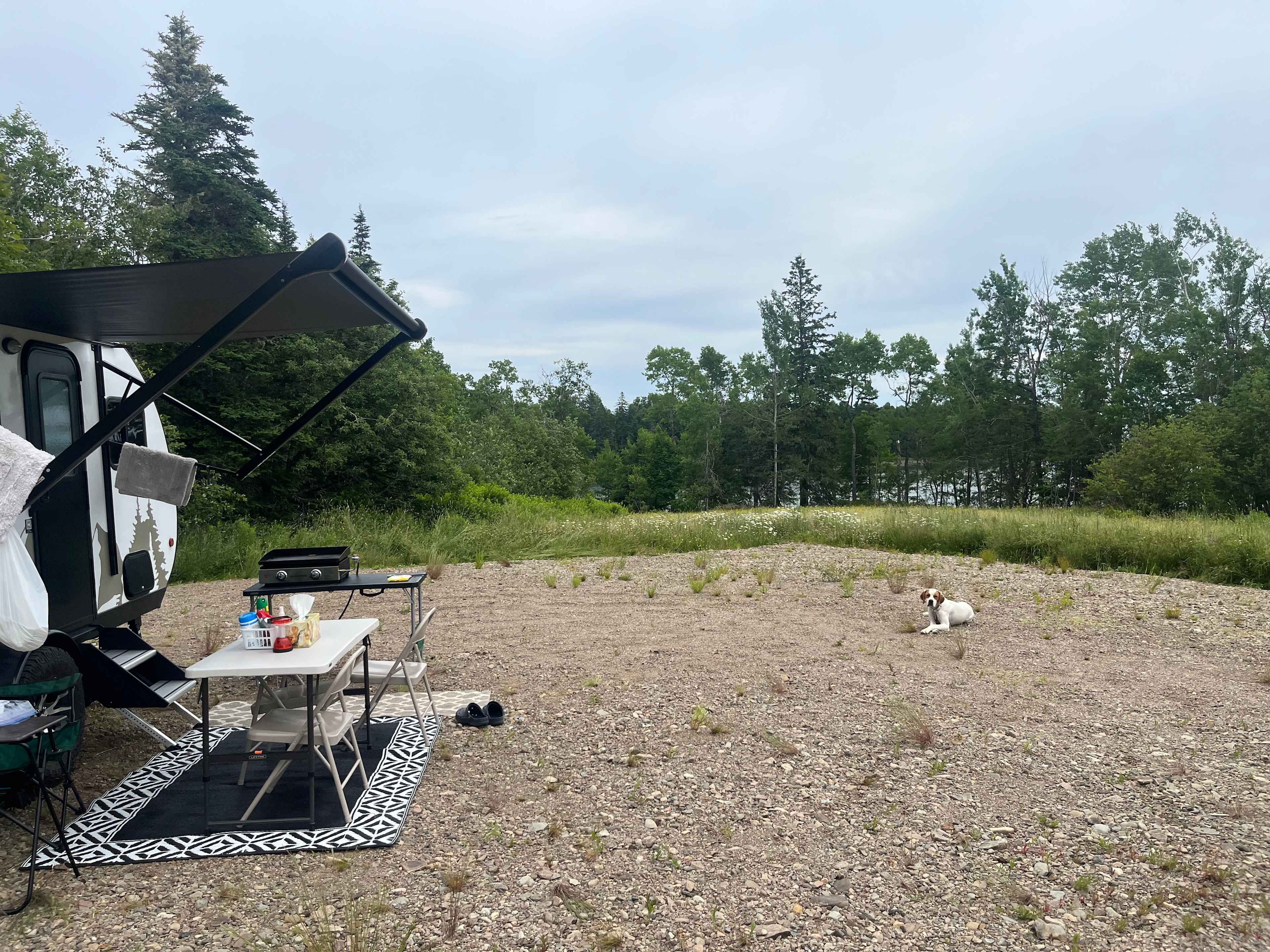 Ditchfield Shores