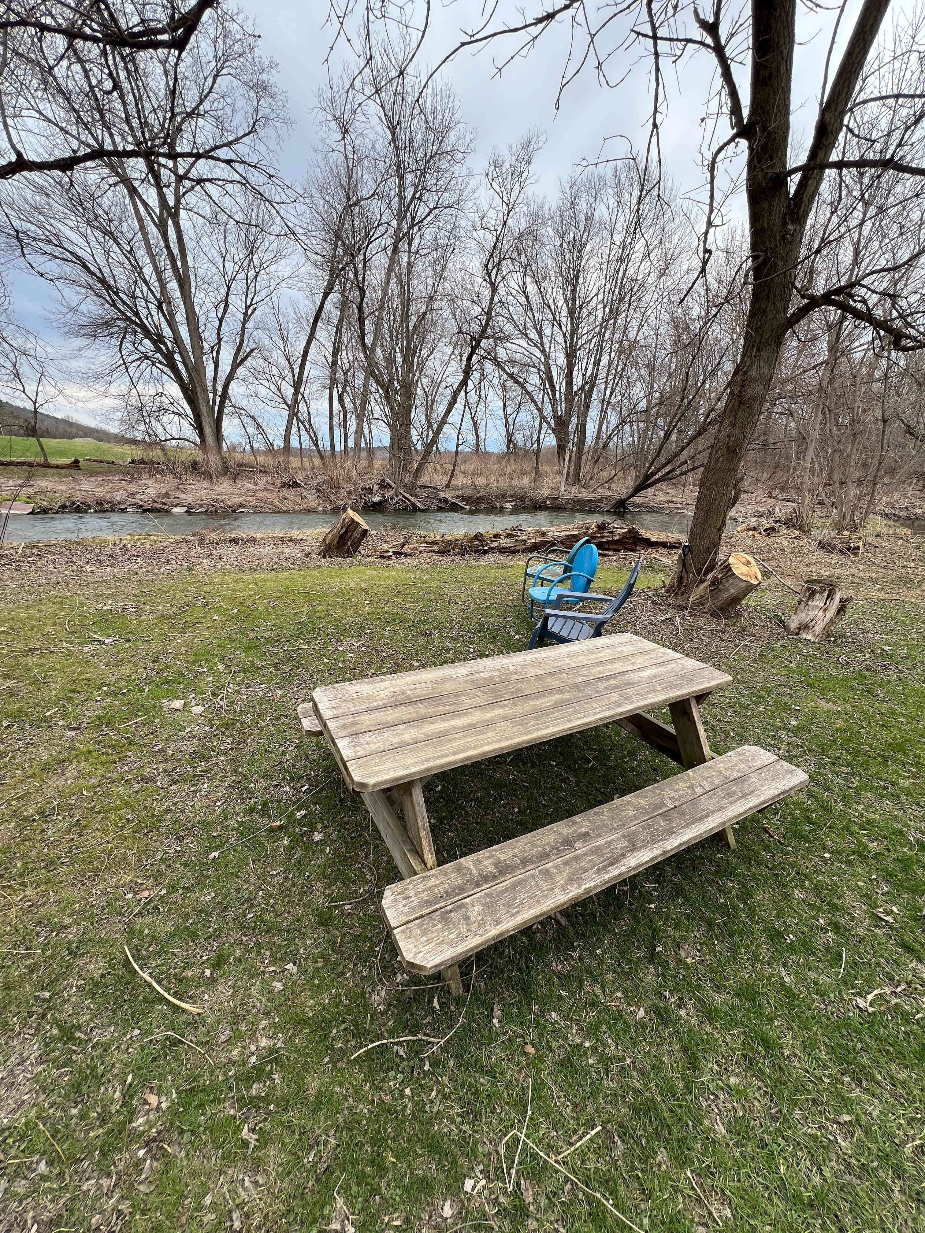 Riverside Retreat And Tiny House